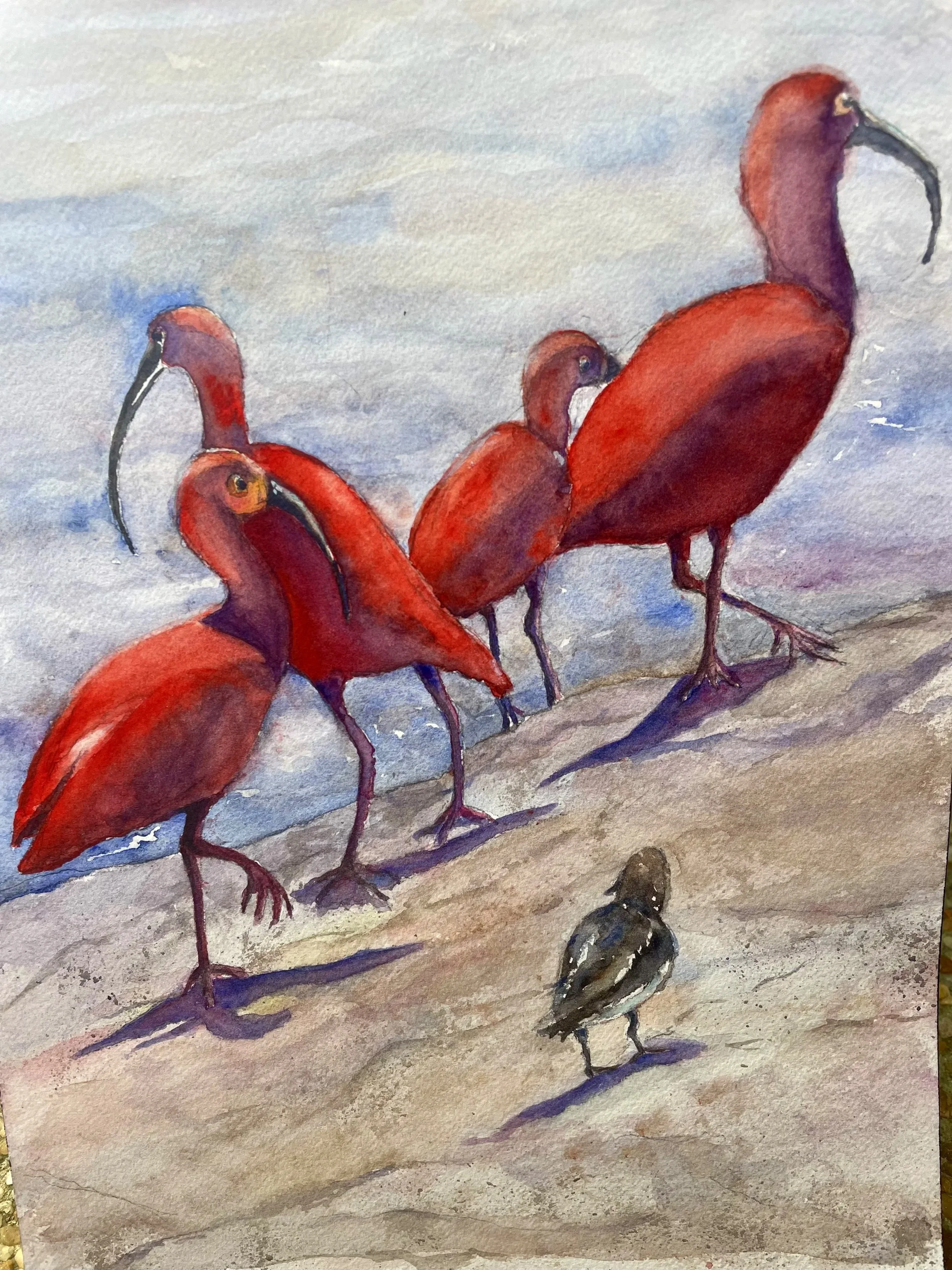 Plumage Envy, 2024,
12 × 18 in.
Private Collection
