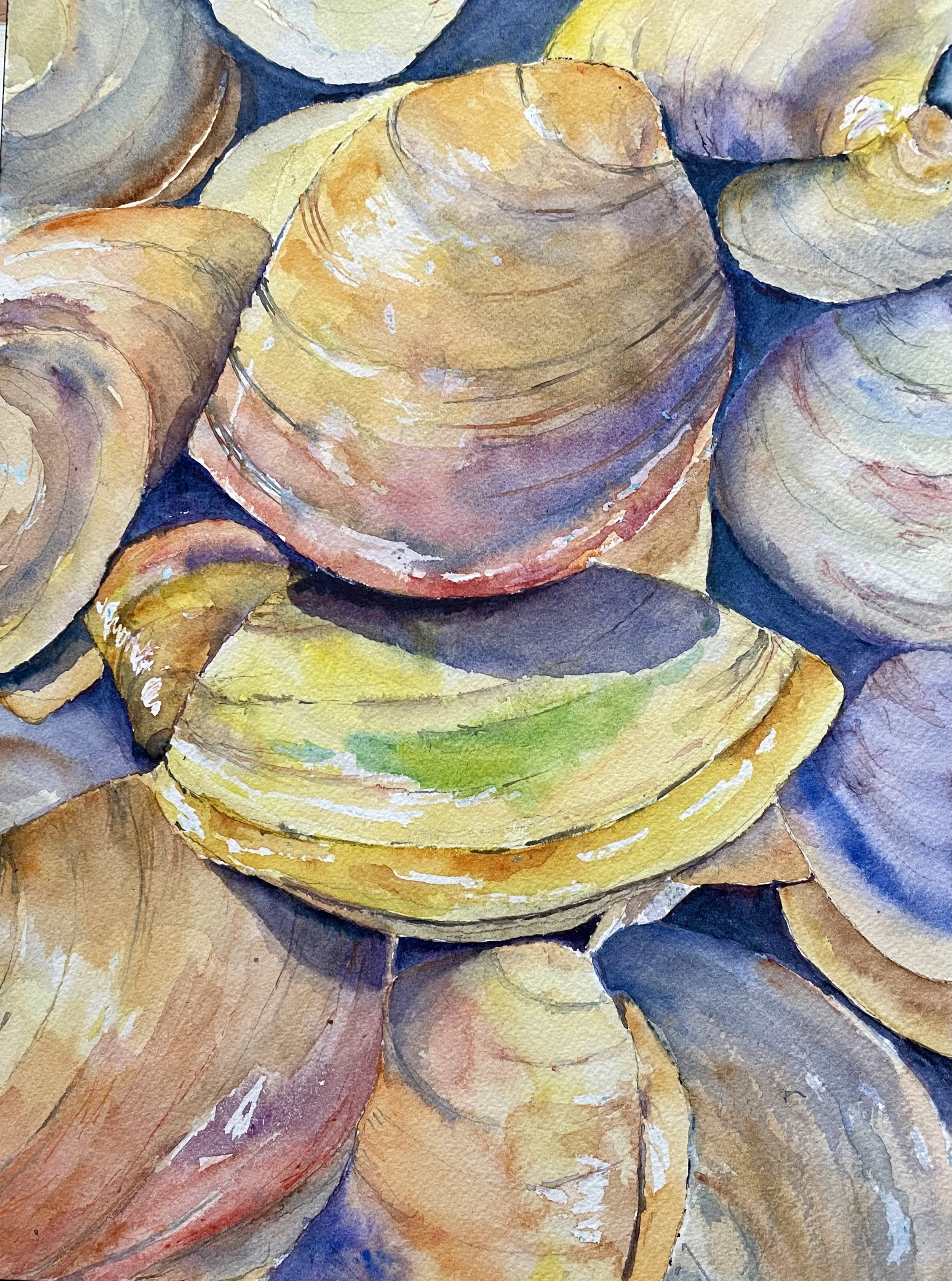 Colorful Clams, 2022,
12 × 14 in.