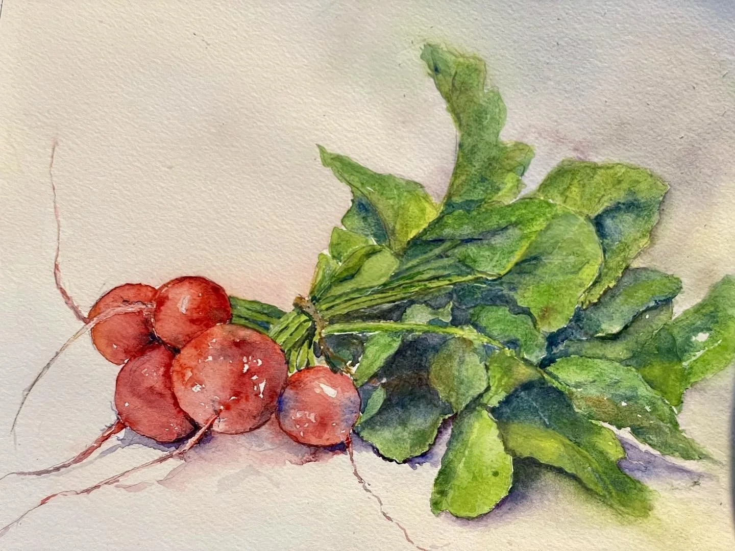 Radish Bunch, 2019,
17 × 15 in.