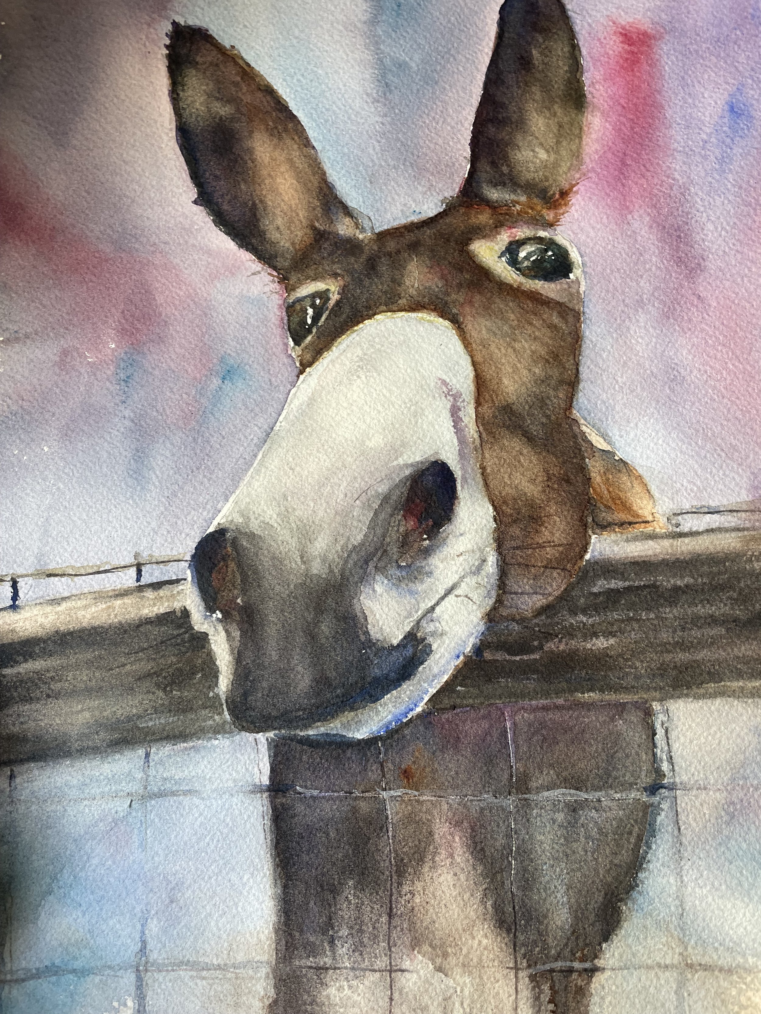Nosy, 2025,
14 × 18 in.
