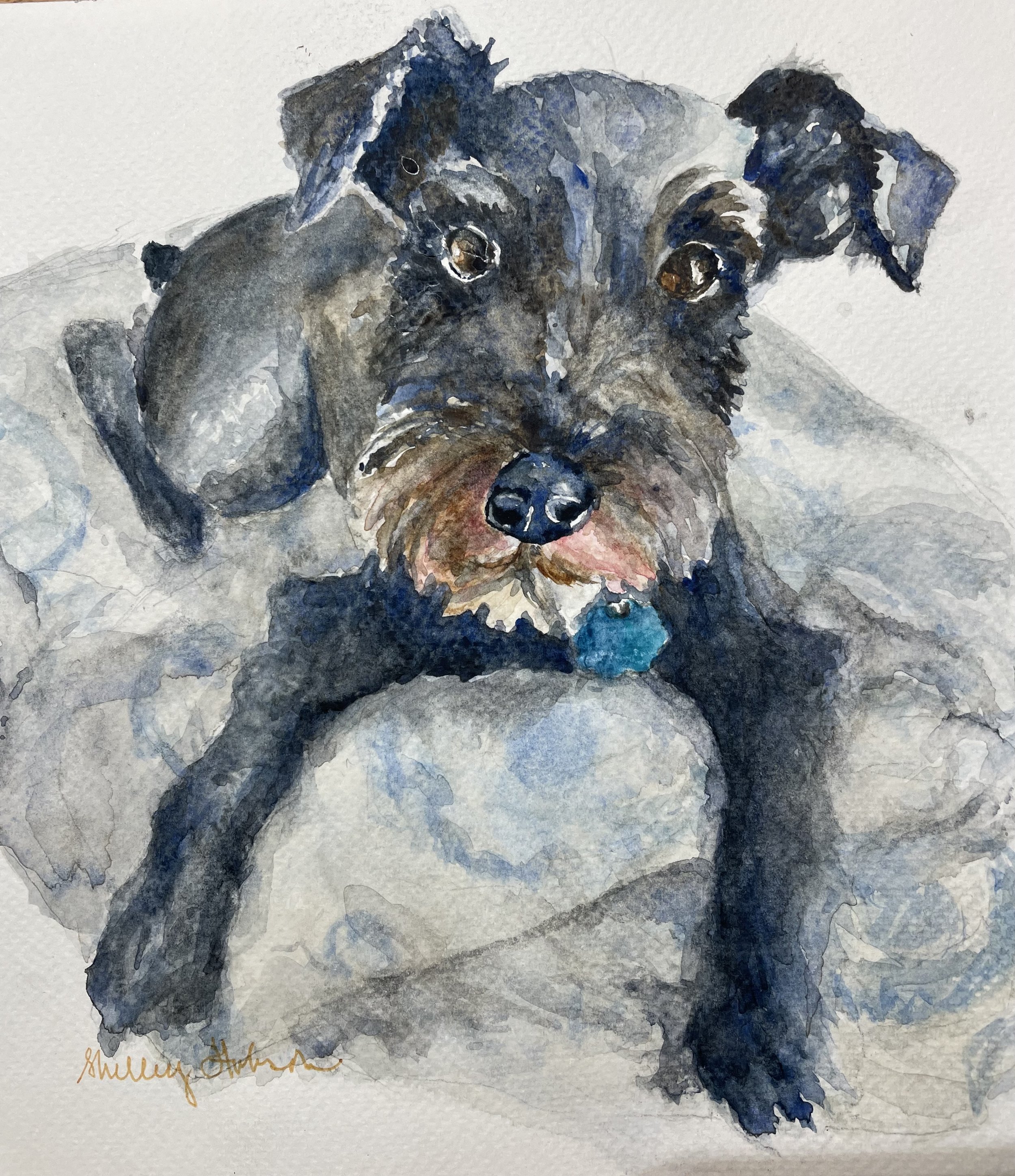 Izzie, 2024,
12 × 15 in.
Private Collection 


