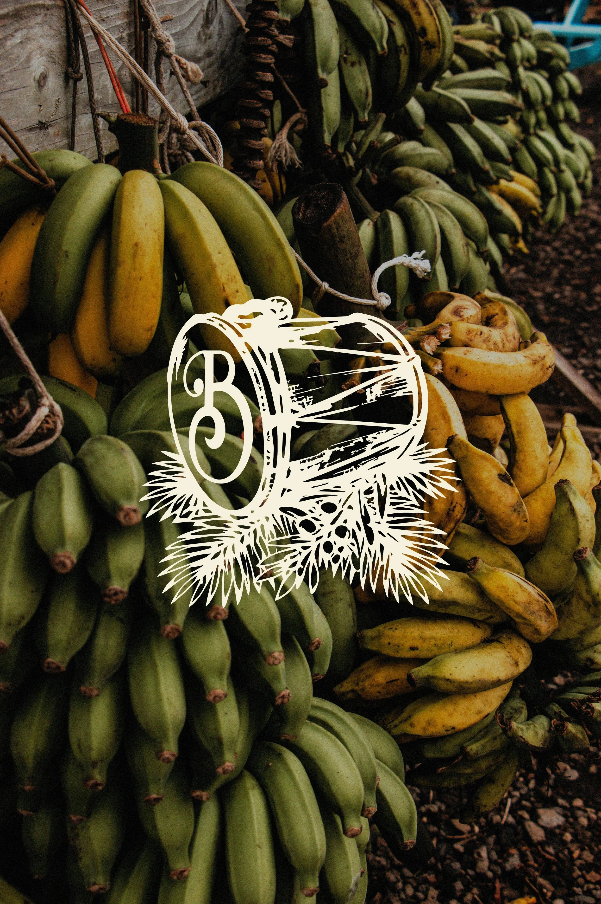 Bunches of green and yellow bananas hanging in a market stall.