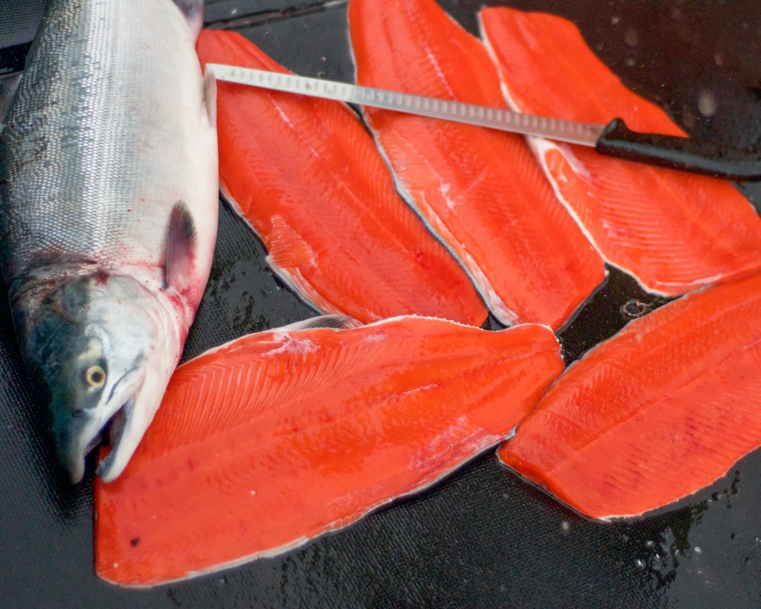 Fillets - 25lb Box