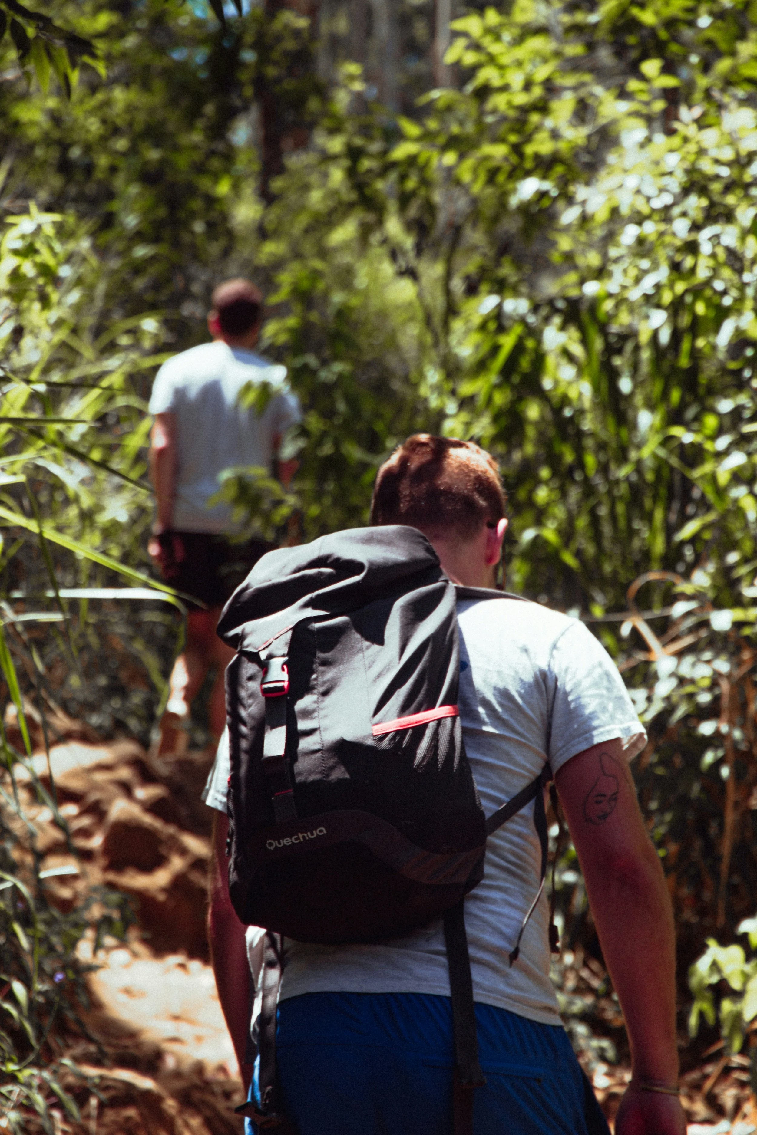 Three people hiking through a forested trail with lush green foliage and sunlight filtering through the trees.