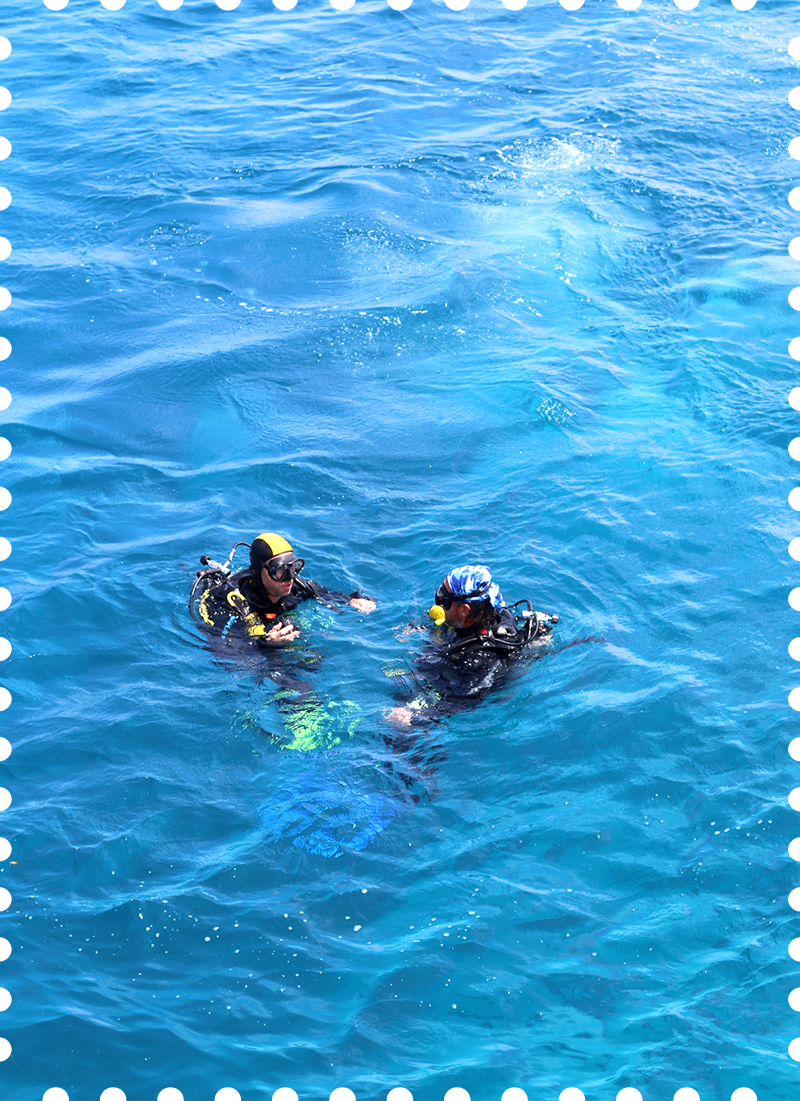 Two scuba divers floating in the ocean, wearing wetsuits, masks, and tanks, engaged in a conversation.