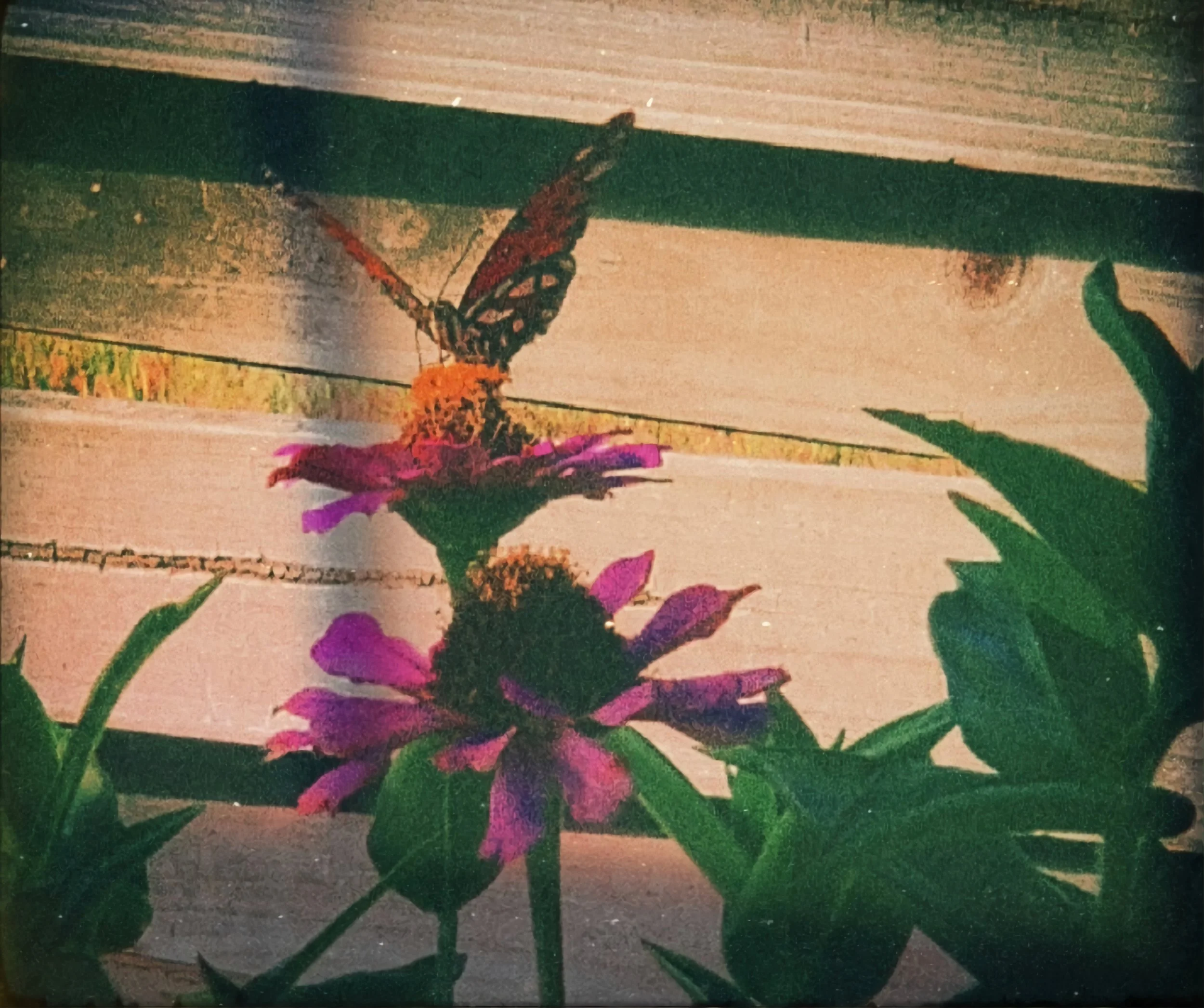 IMG_E9793_digital_art_x4_digital_art_x4.jpg