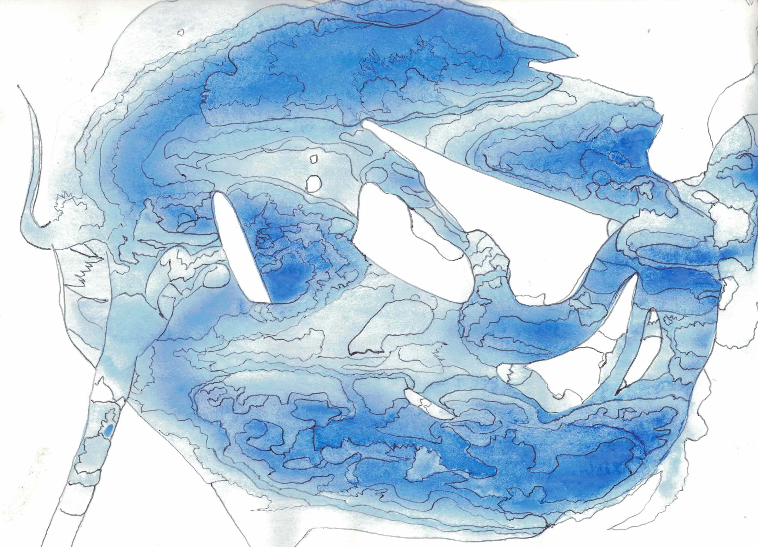 Scan_20221216.jpg