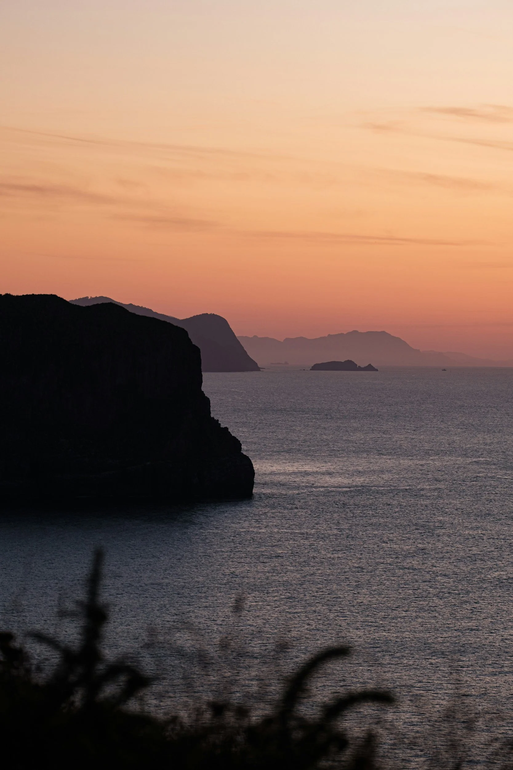 Sunset over a body of water with silhouetted cliffs along the coast and blurred foreground plants.