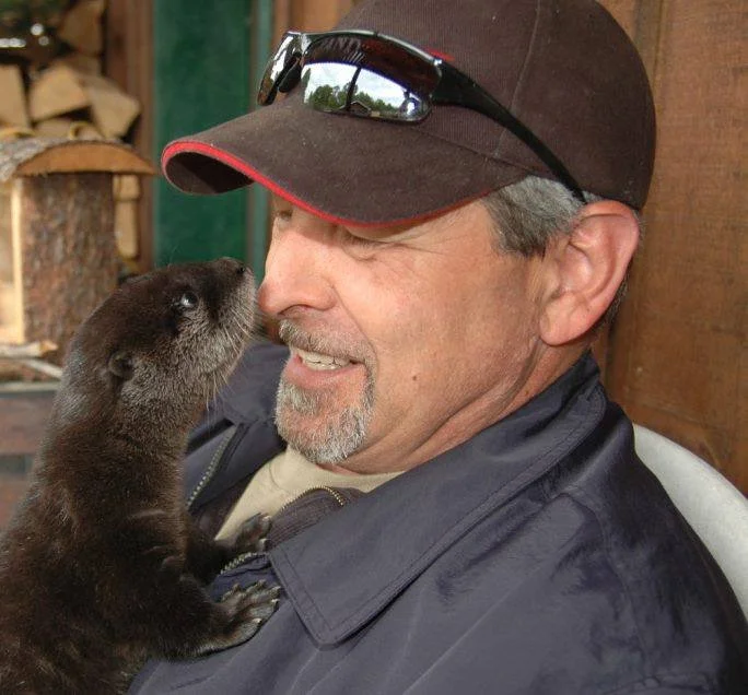 A man with a beard and mustache wearing a baseball cap with sunglasses on top, smiling as a baby otter touches his nose.