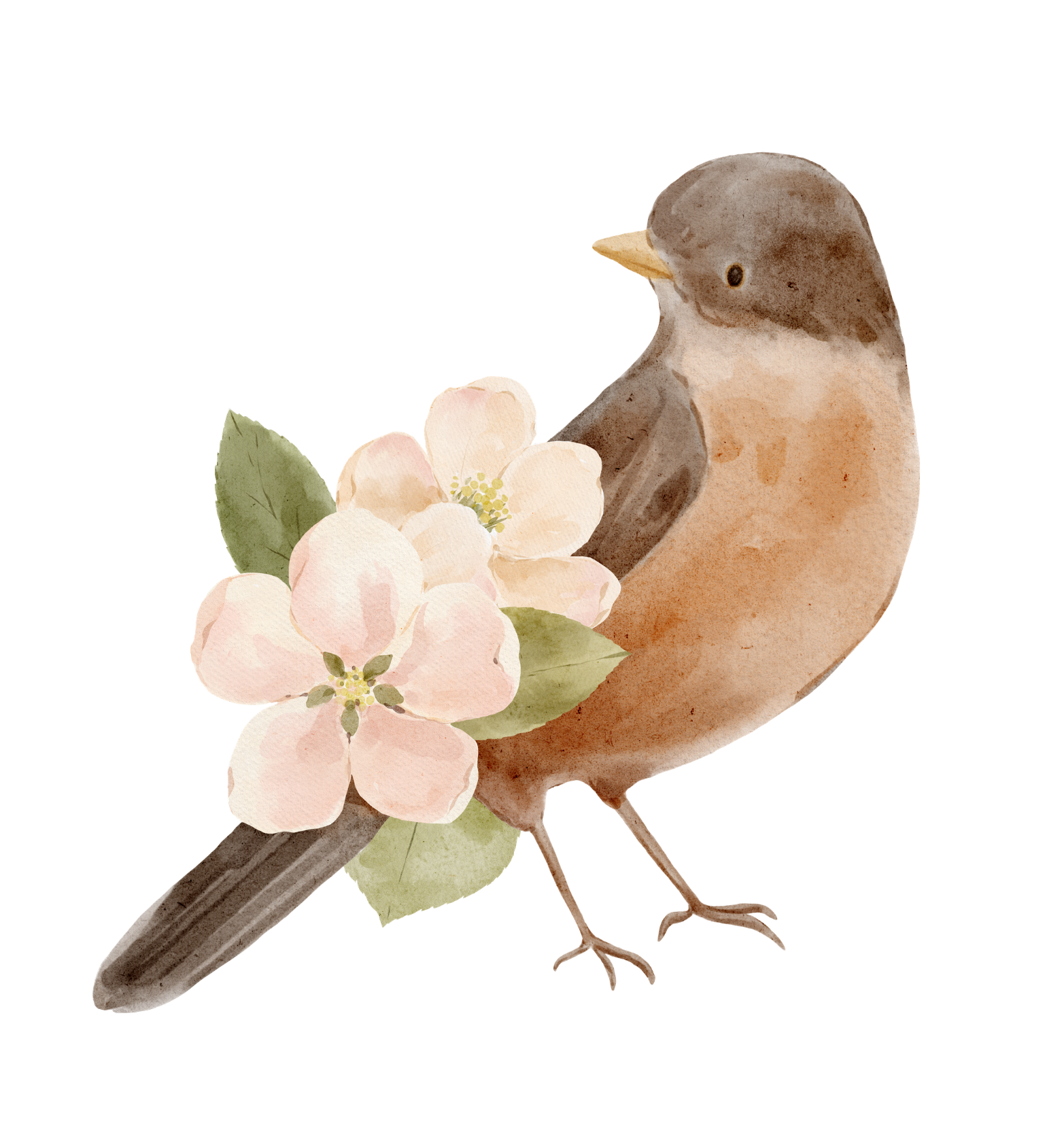 Watercolor painting of a small bird perched on a branch with pink and white flowers and green leaves.