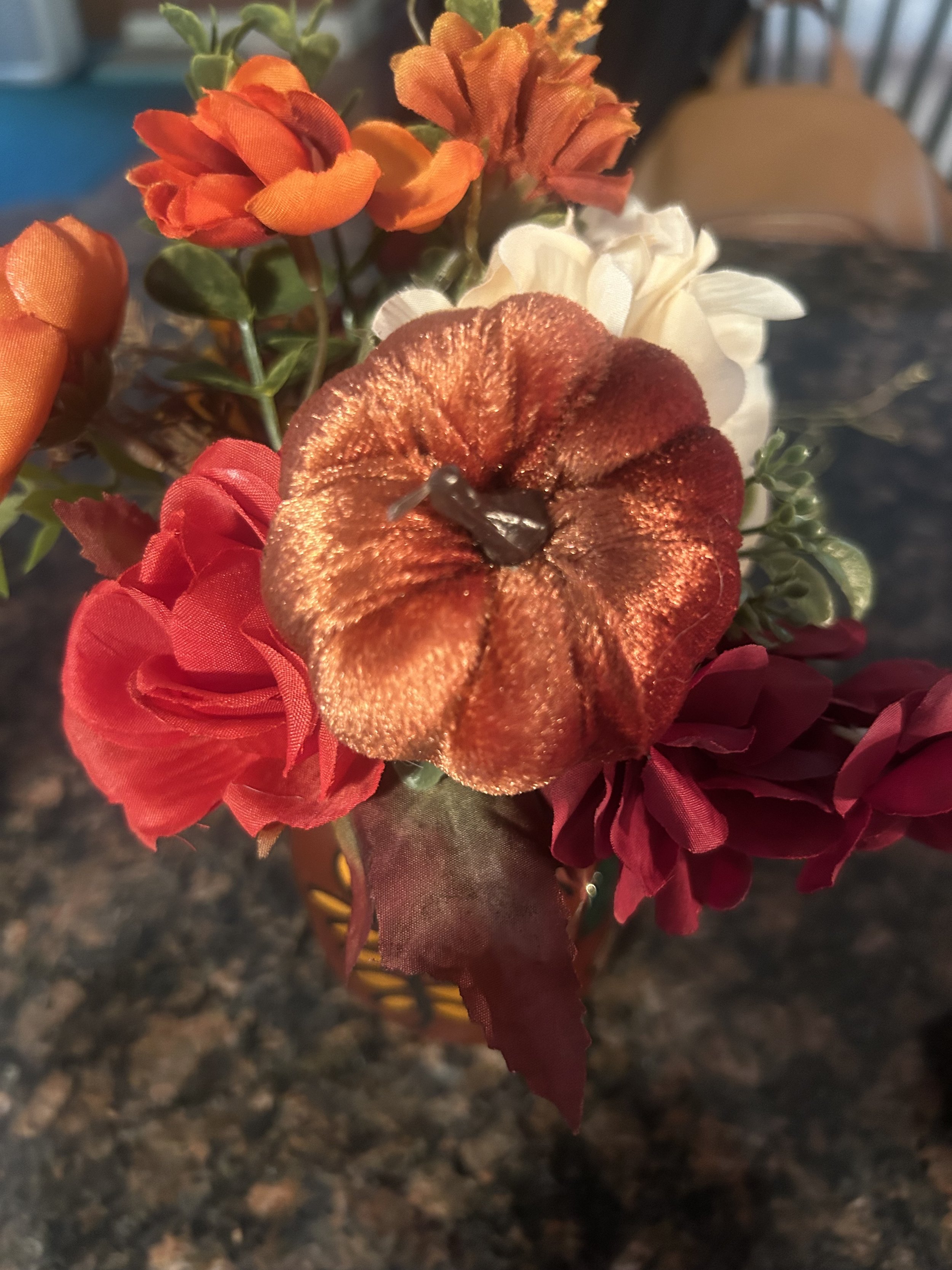IMG_8045.jpeg