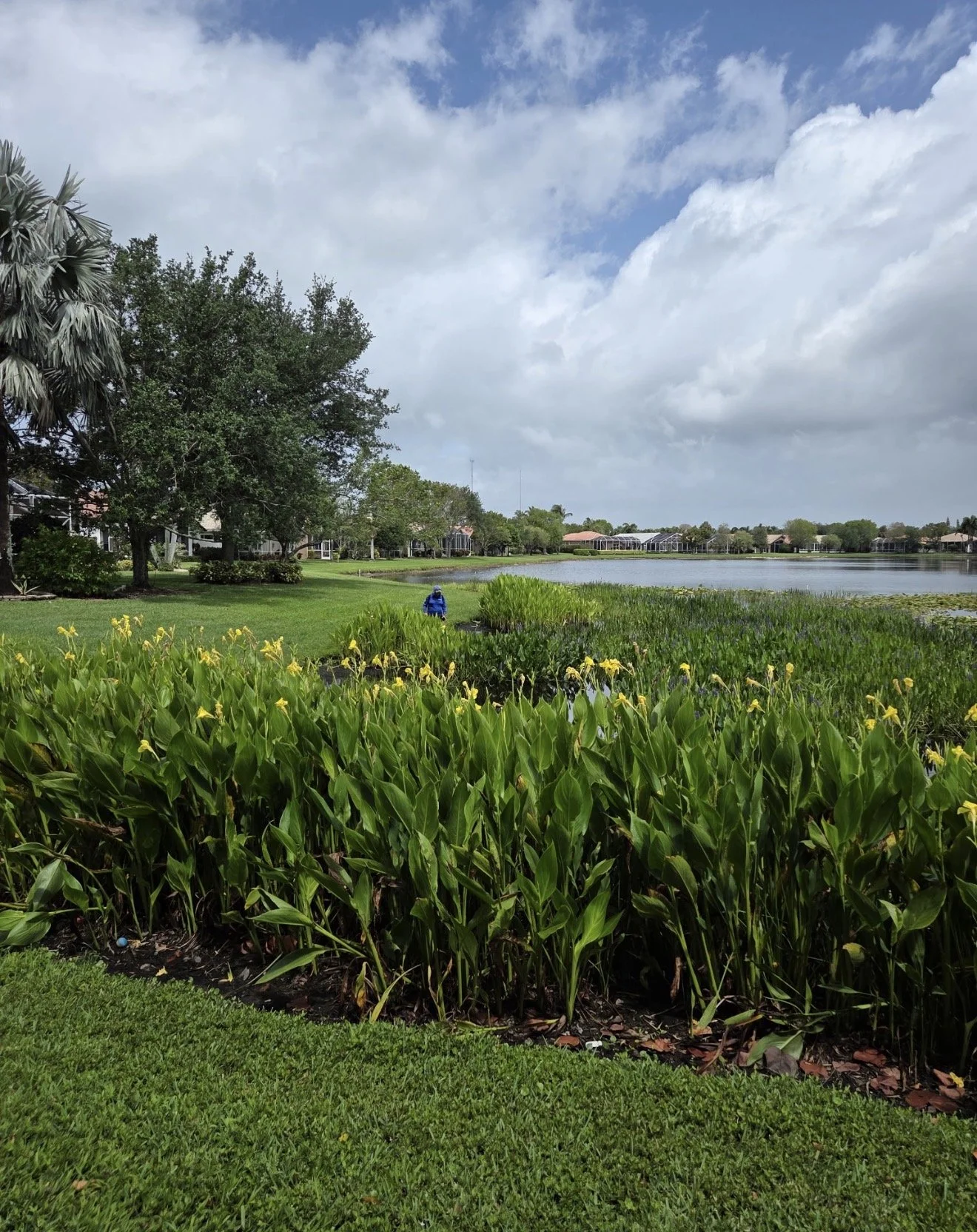Shoreline maintenance