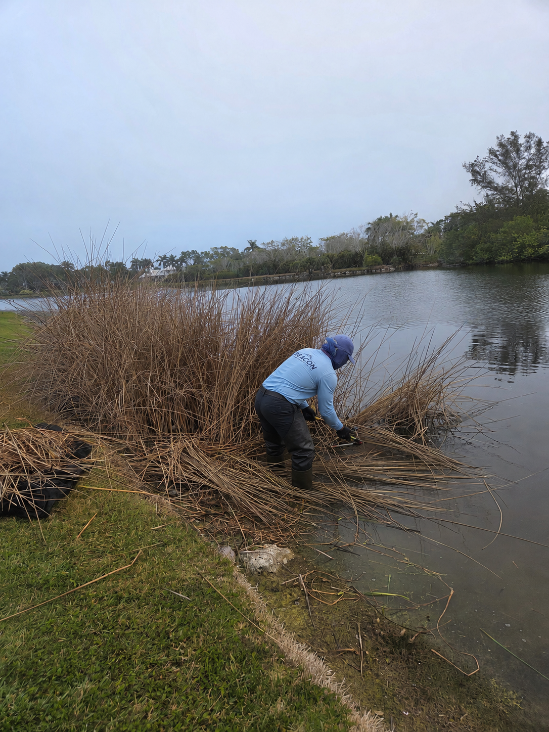 Lake & Pond Maintenance