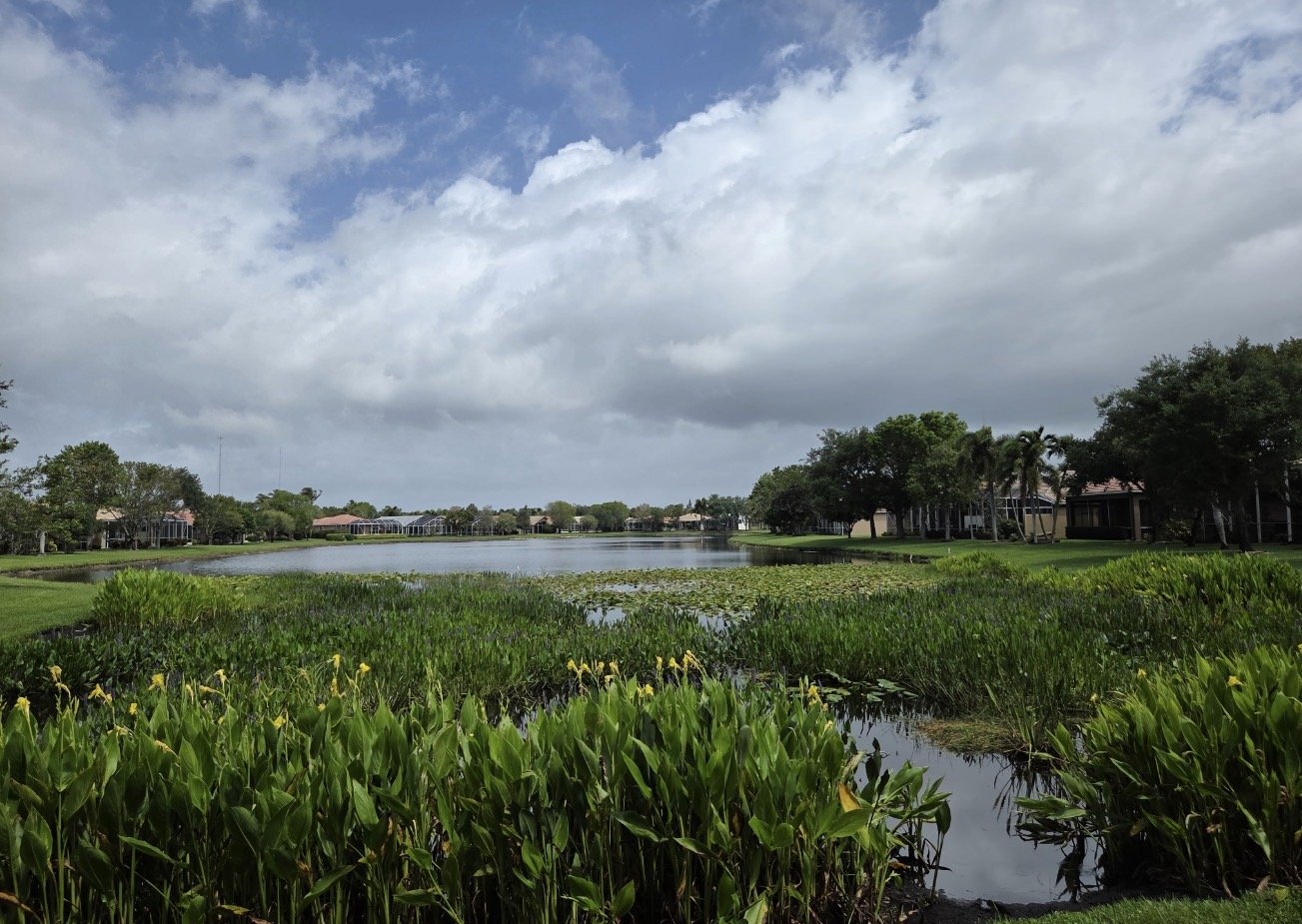Algae & Aquatic Weed Control