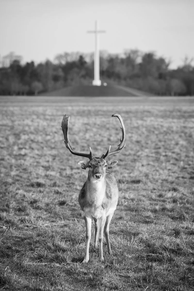 20150124-3B9A2517.jpg