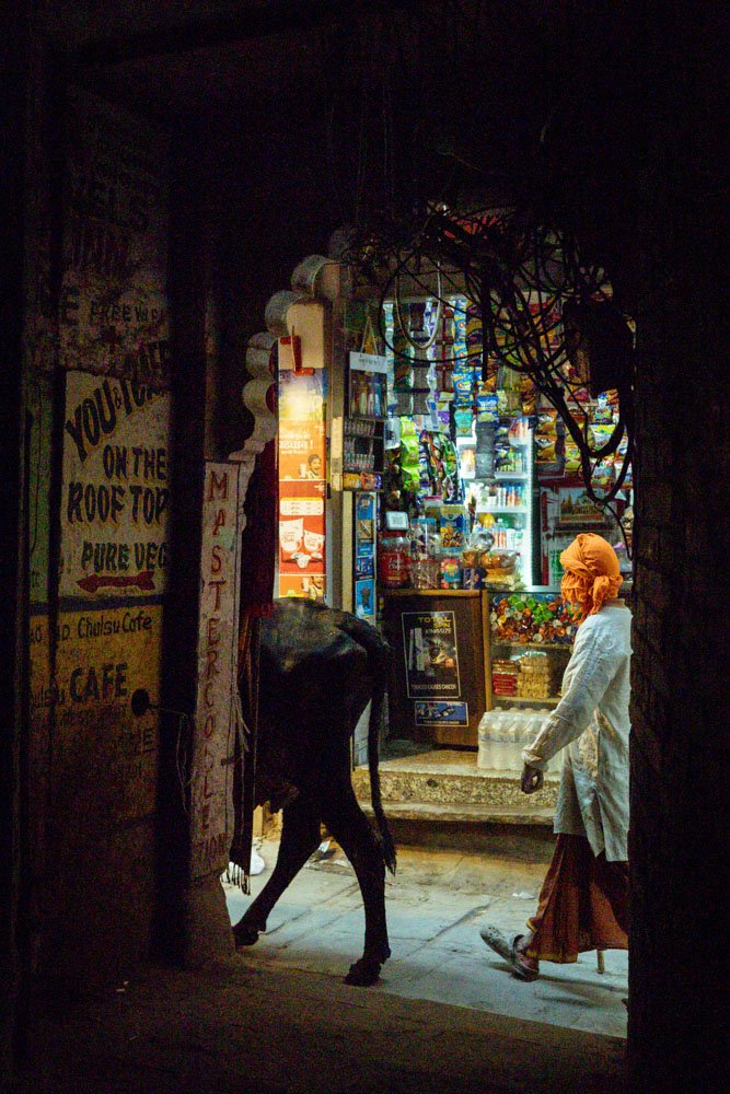 India 2026 -10599.jpg