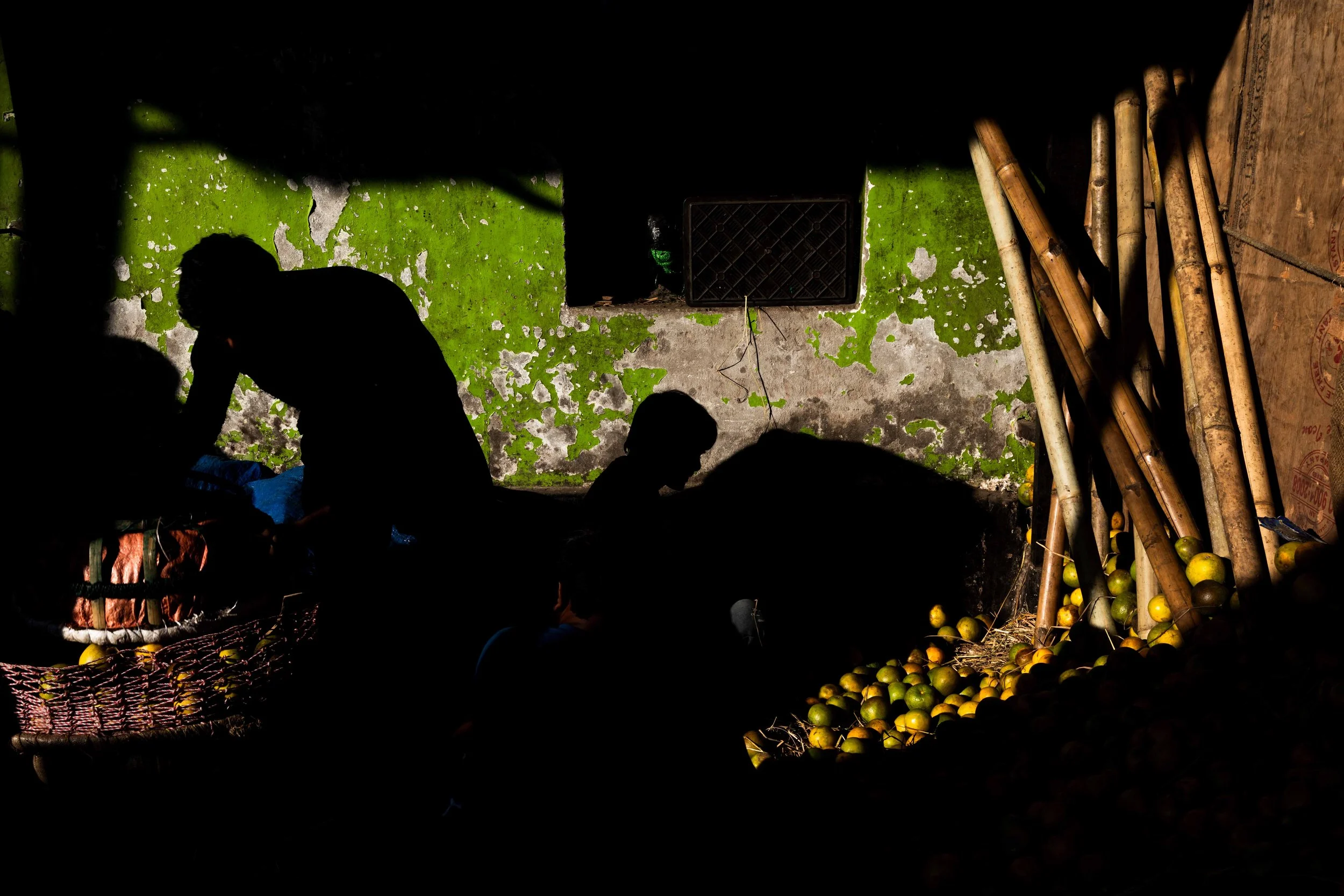 India 2026 -3241.jpg