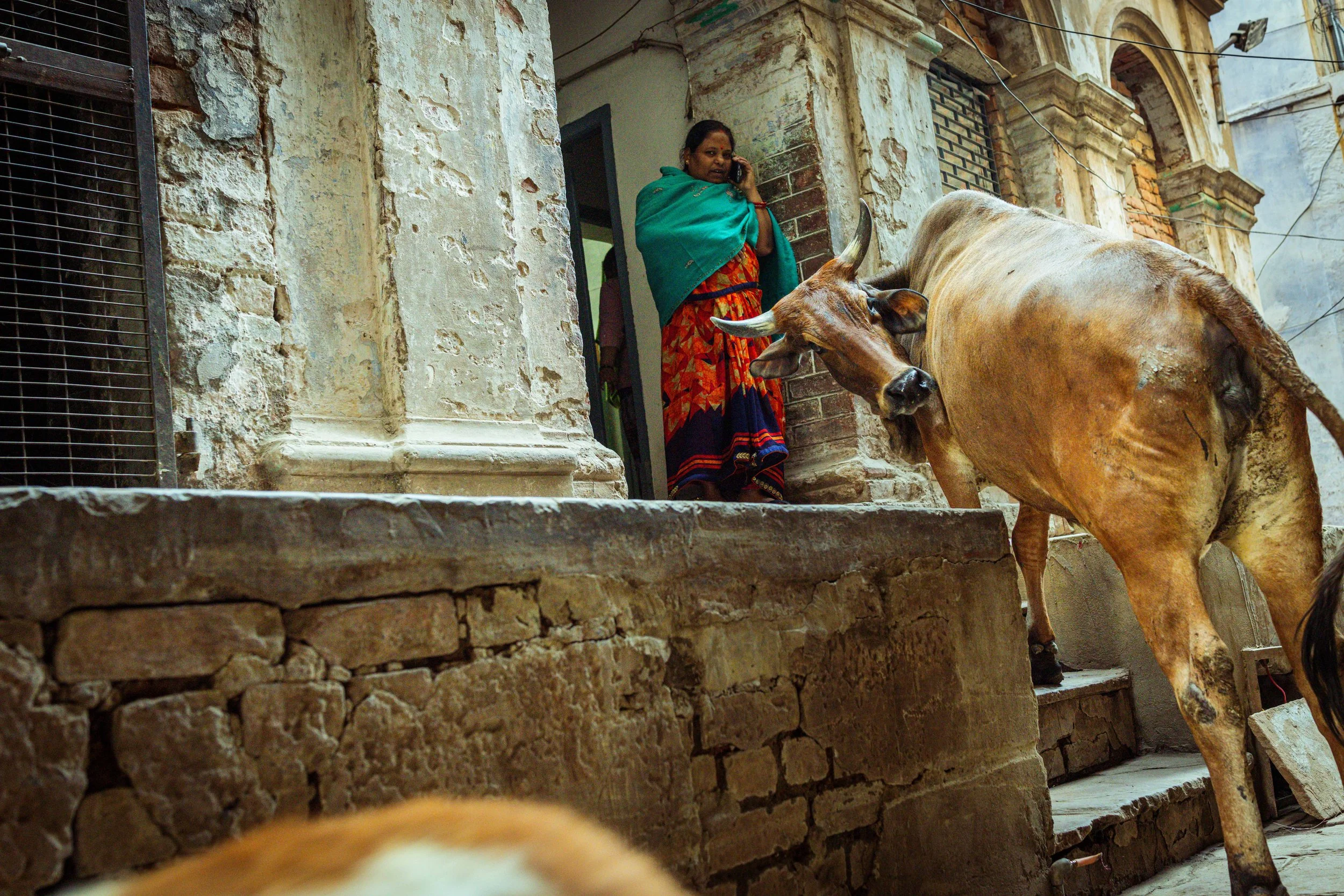 India 2026 -8056.jpg