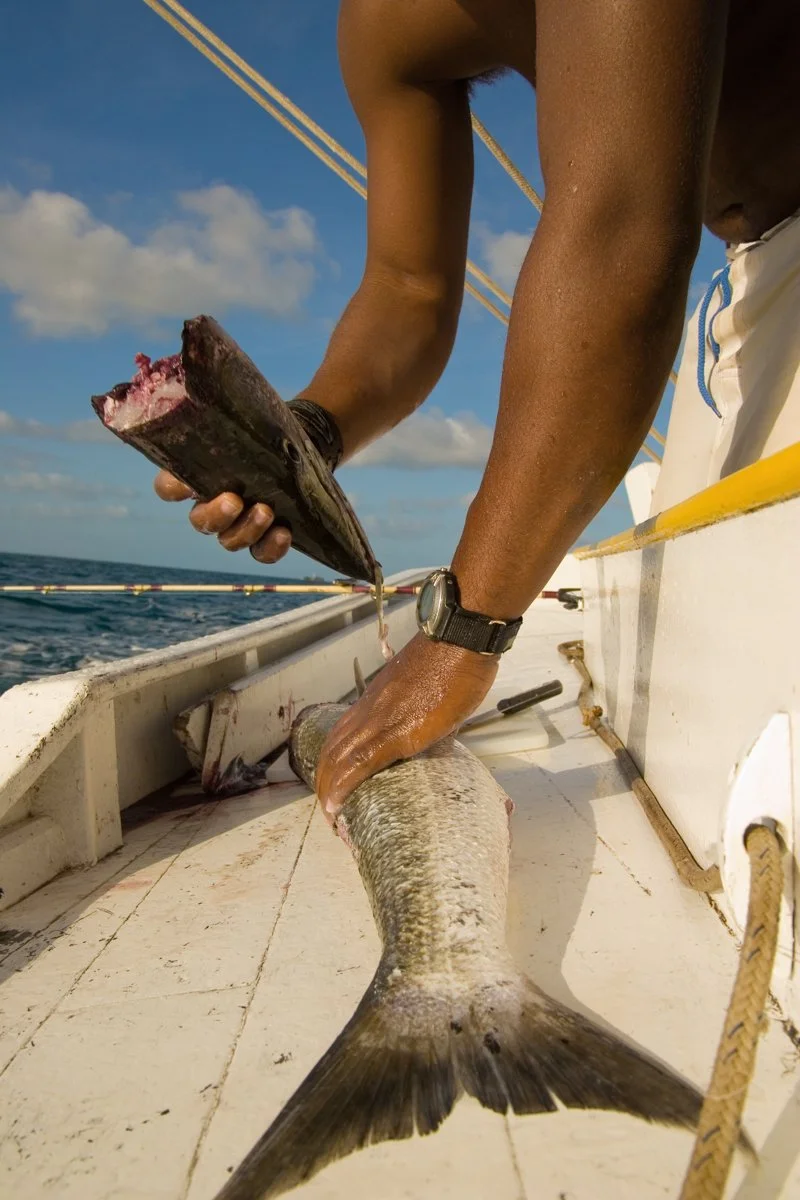 belize02.jpg