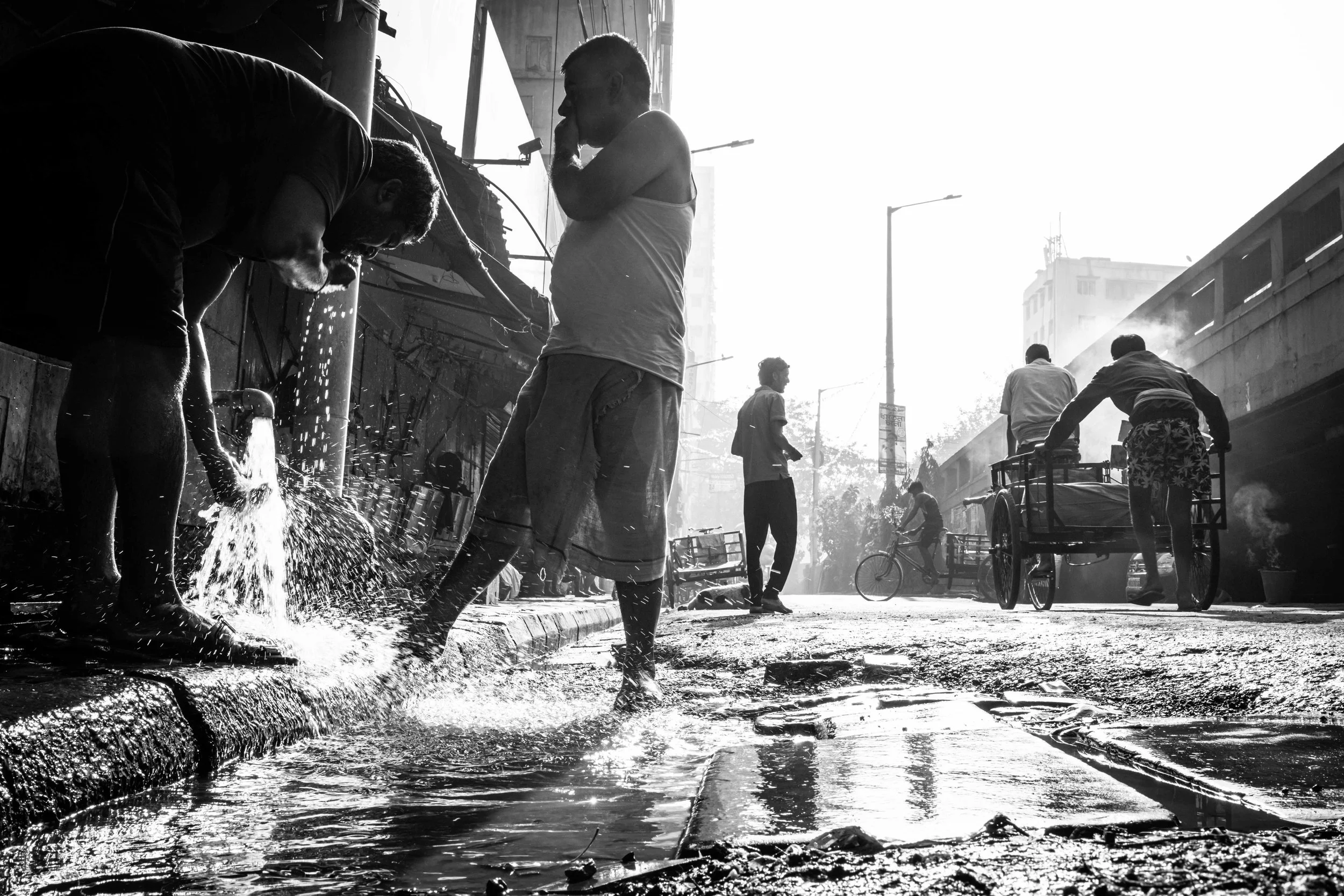 India 2026 -6367.jpg