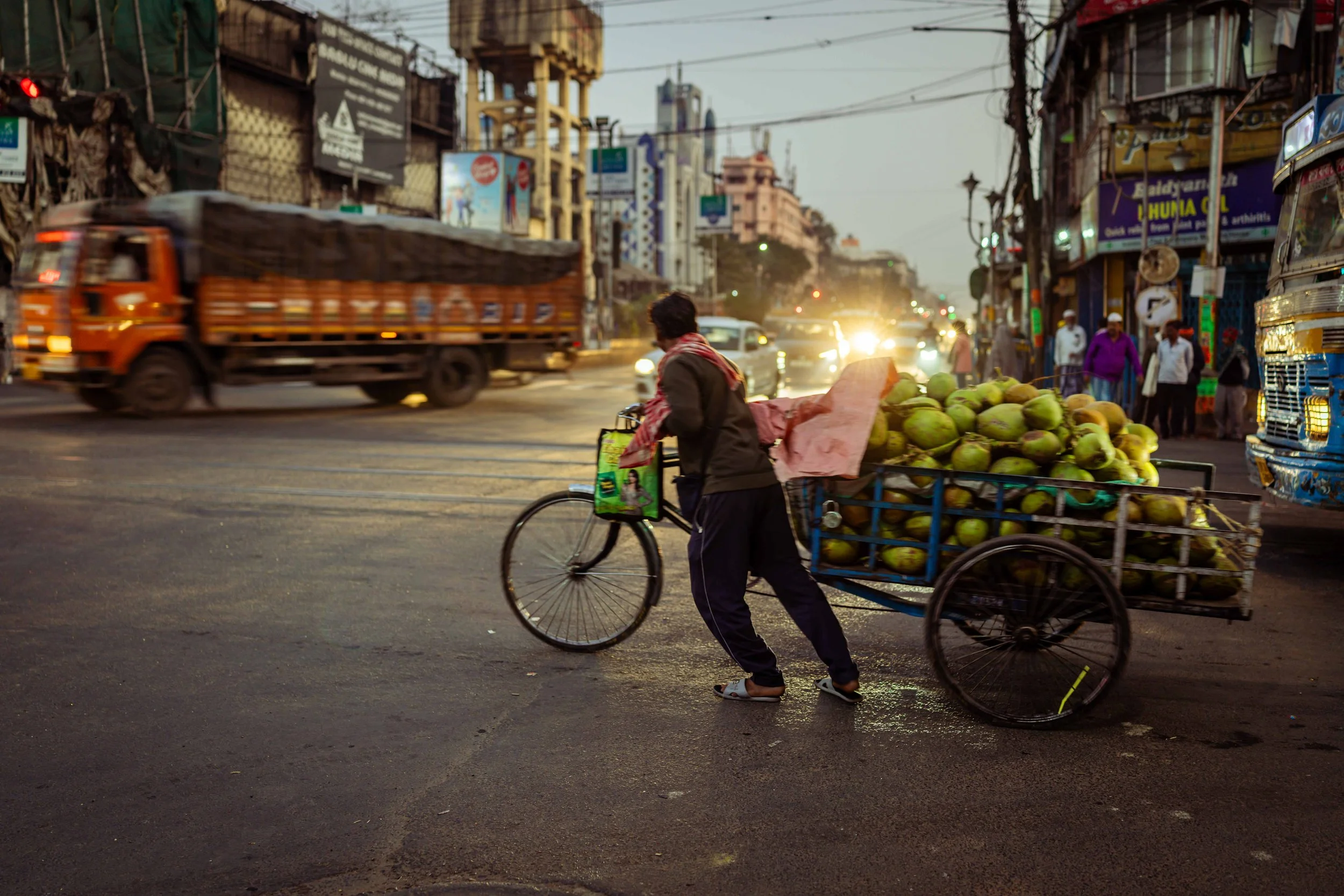 India 2026 -953.jpg