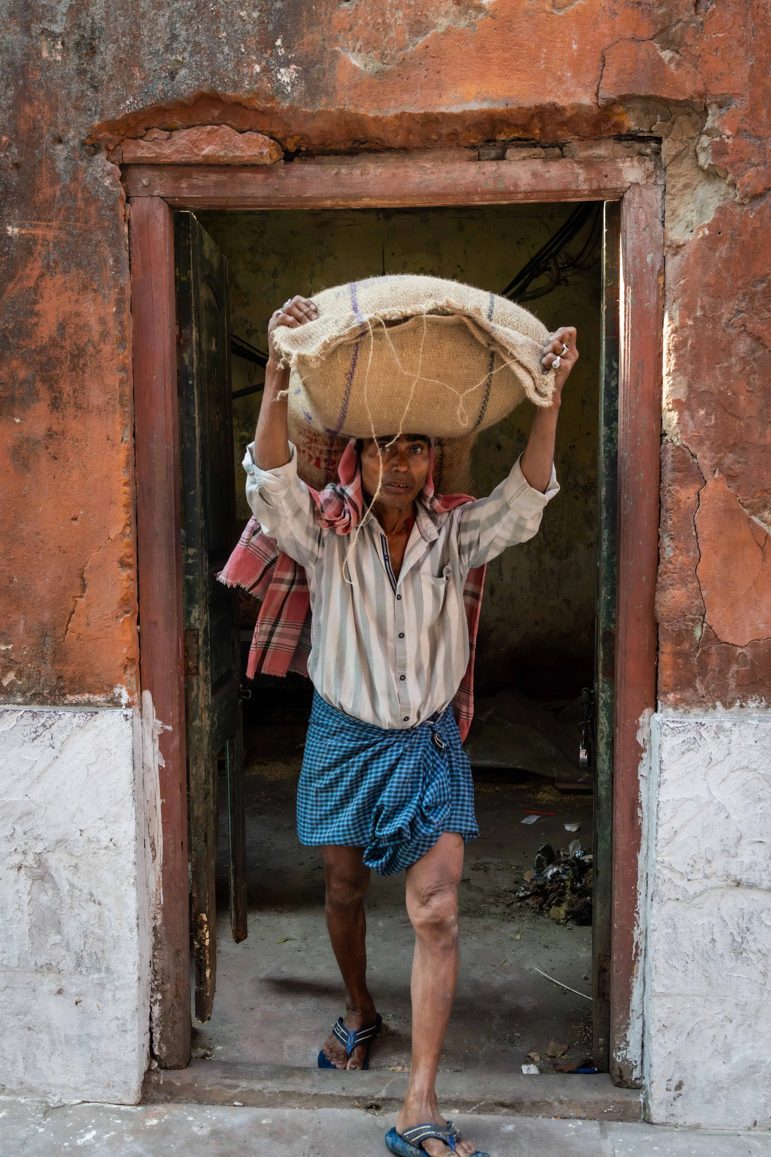 India 2026 -4015.jpg