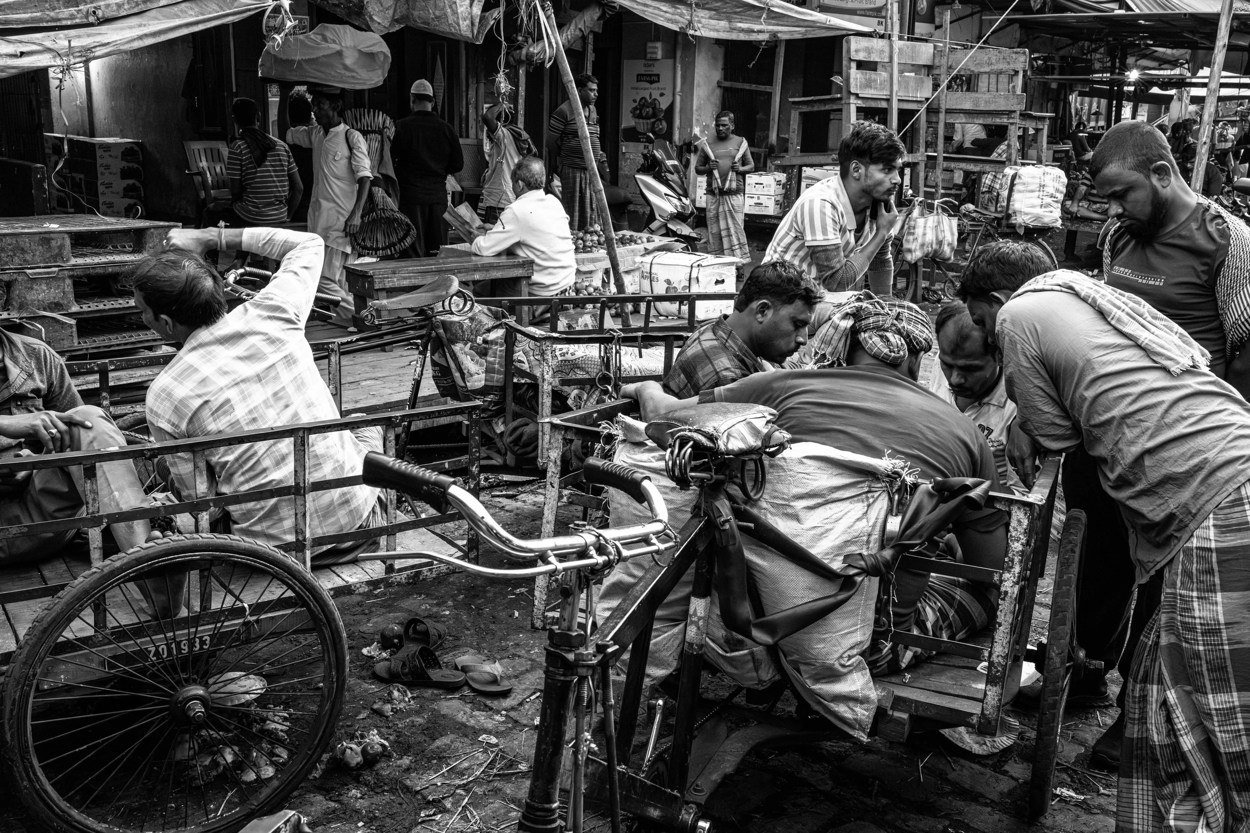 India 2026 -359.jpg