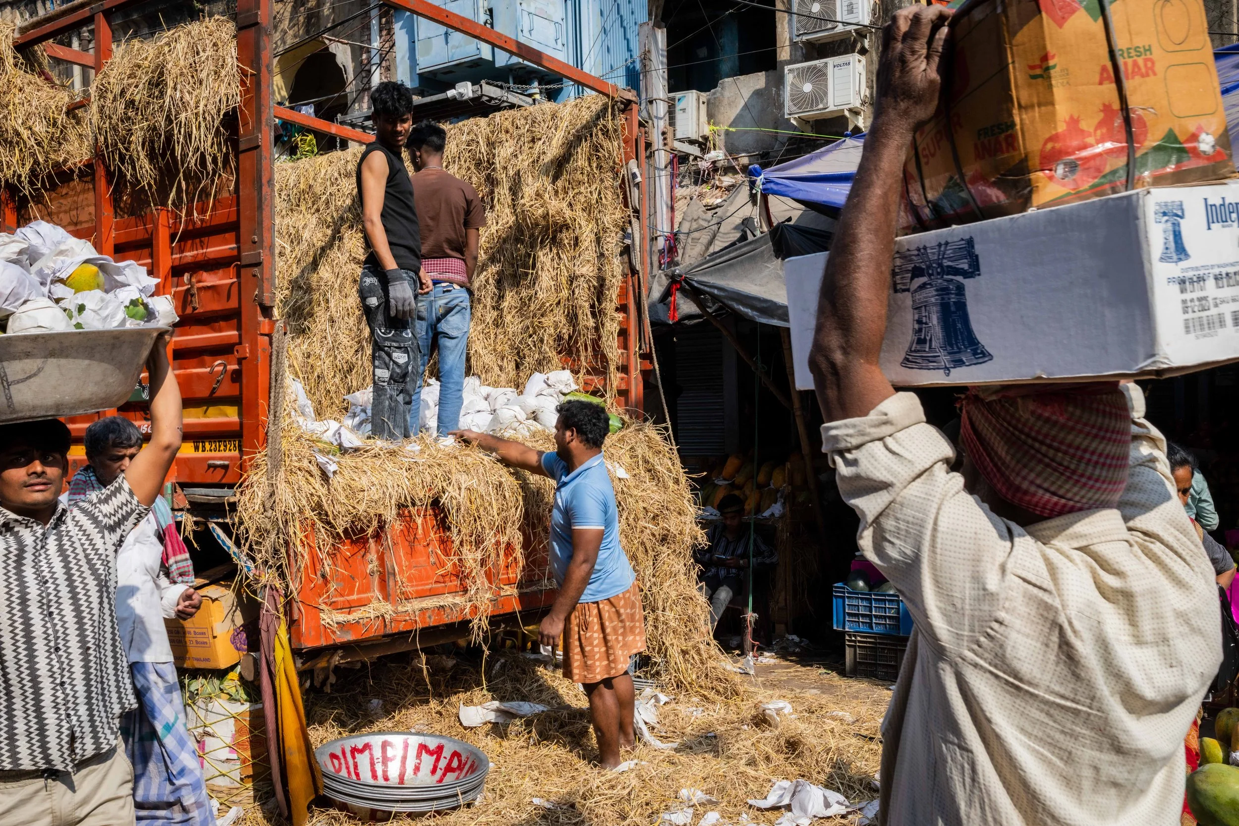 India 2026 -8919.jpg