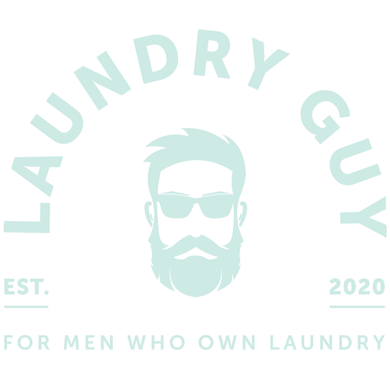 Laundry Guy