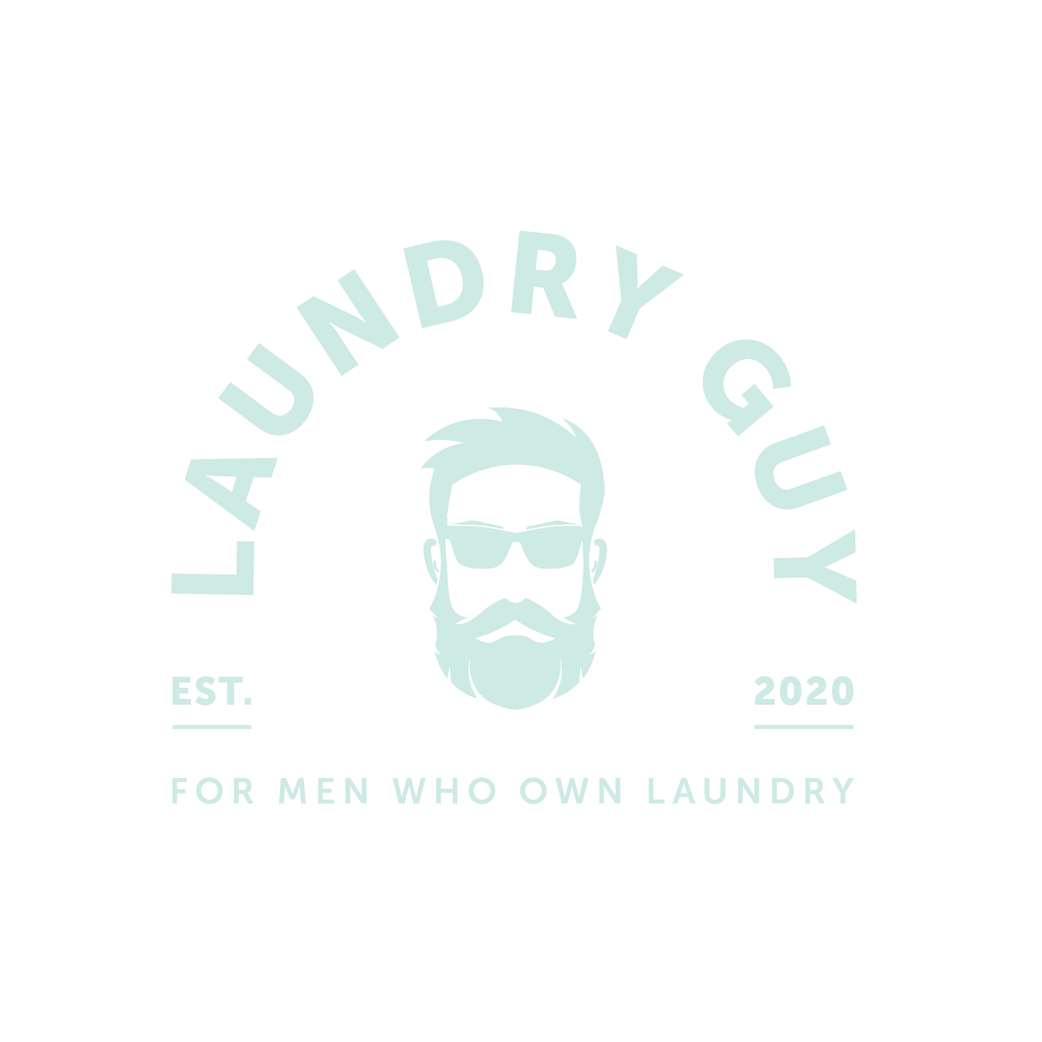 Laundry Guy