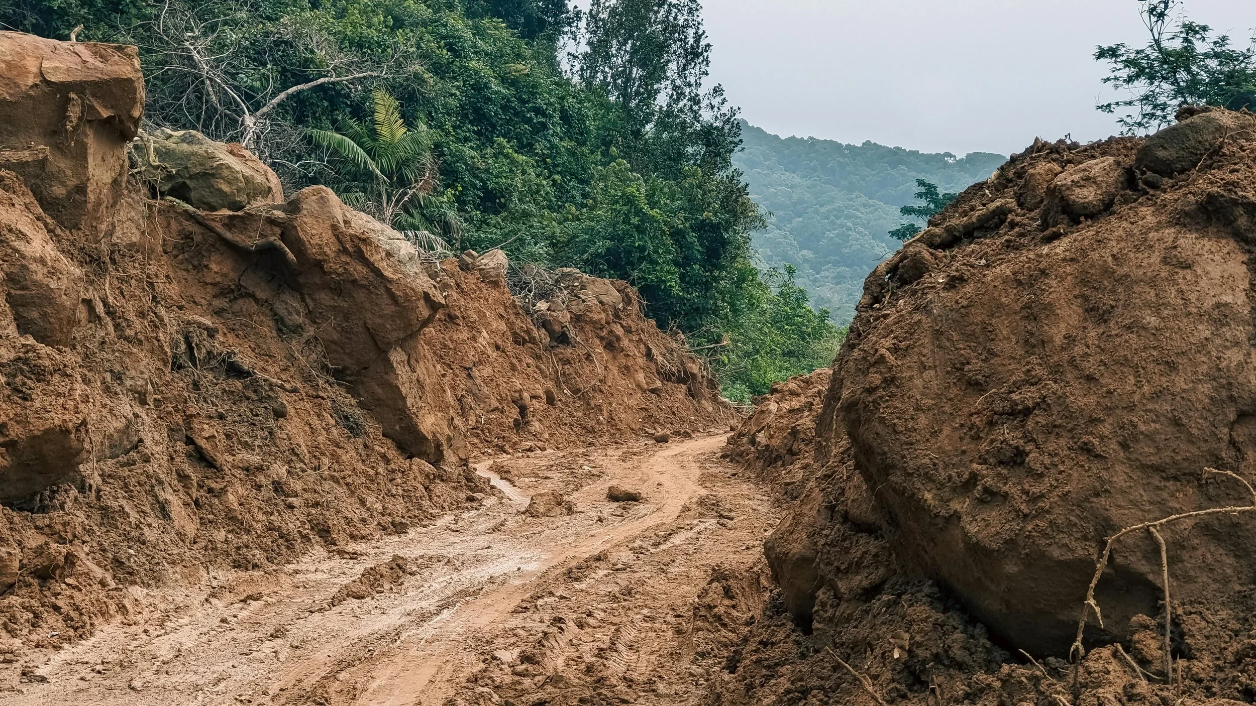 A dirt road through a muddy area with large boulders on either side, surrounded by a dense green forest, with hills in the background under a cloudy sky.
