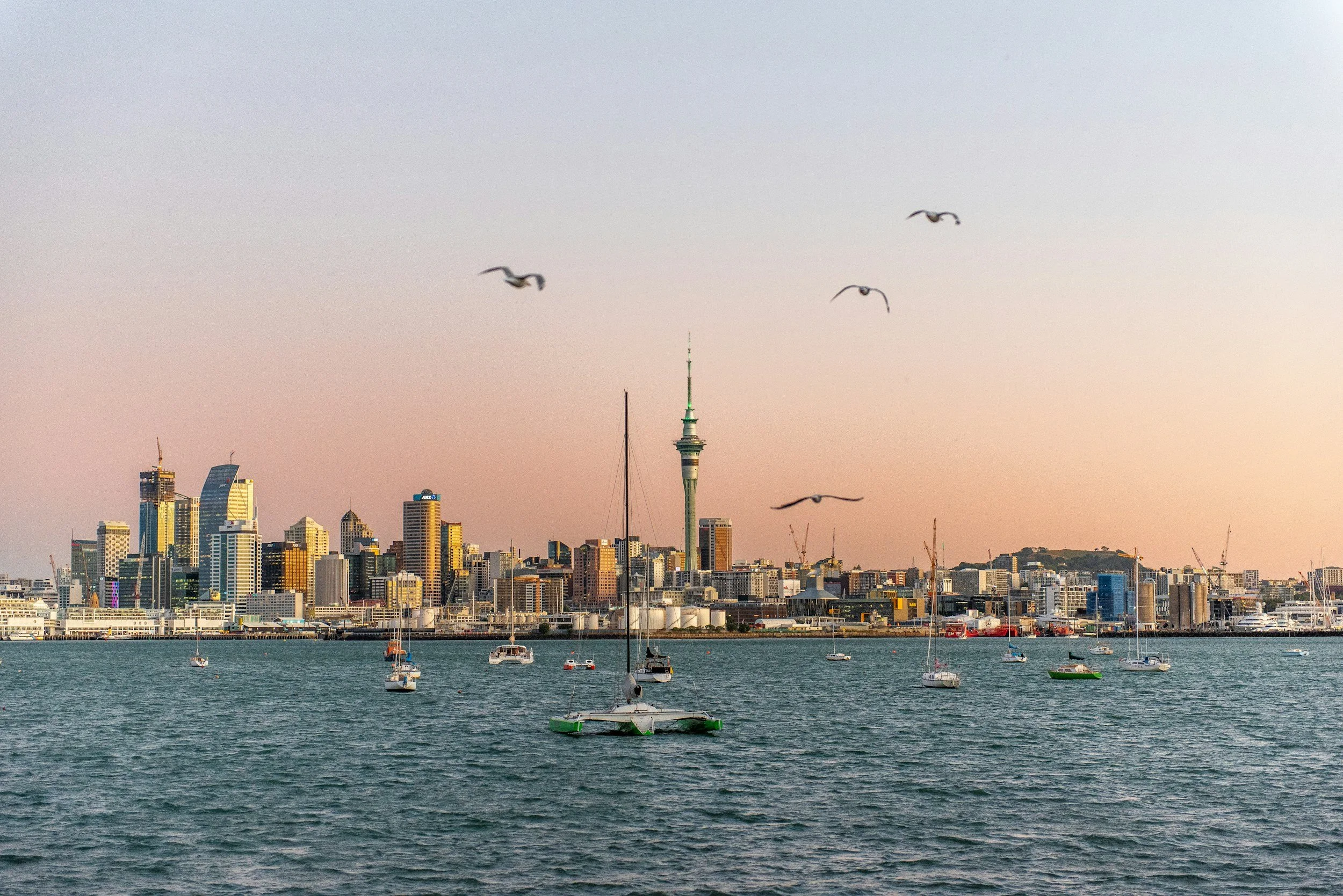 A city skyline with modern high-rise buildings and a prominent tower, viewed across a body of water with several sailboats and boats floating on it during sunset or sunrise.