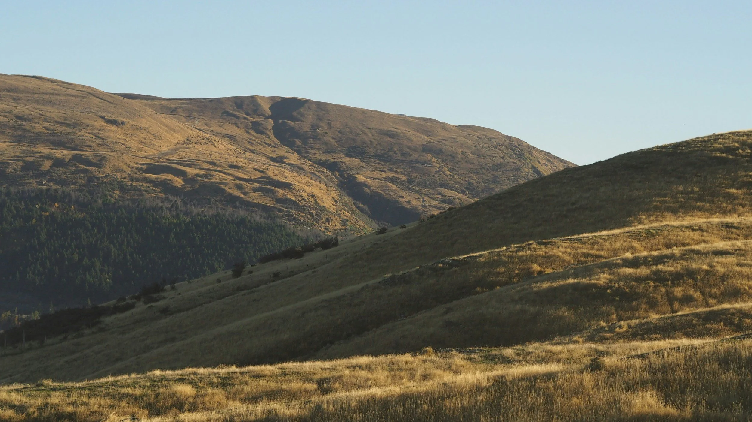 Rolling hills with grassy and forested areas under a clear blue sky.