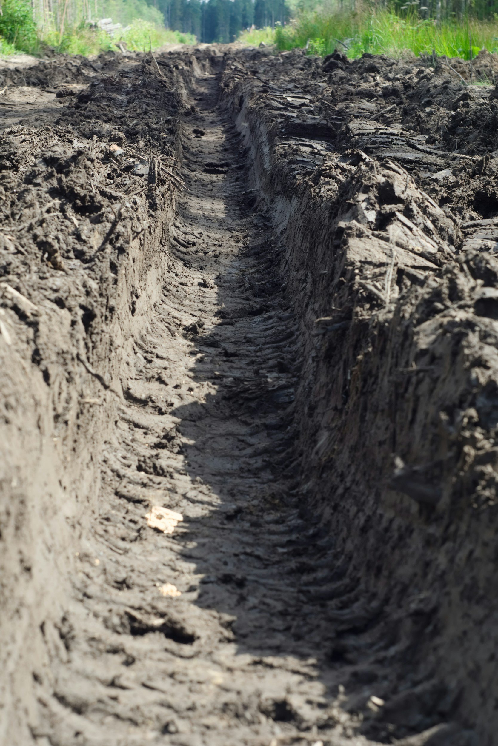 A close-up of a freshly plowed dirt field with tire tracks, set in a rural area with greenery and trees in the background.