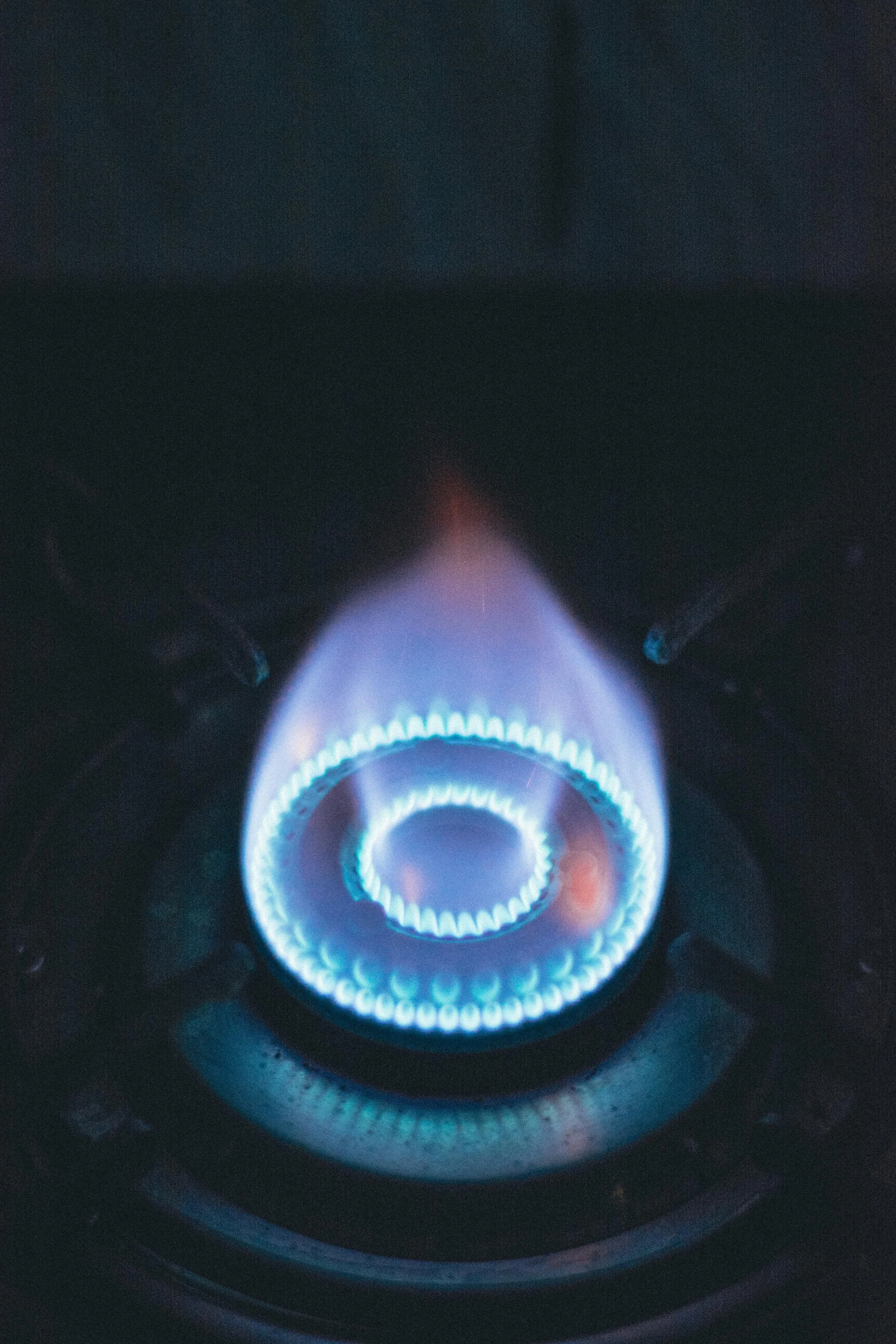 Close-up of a gas stove burner with blue flames.
