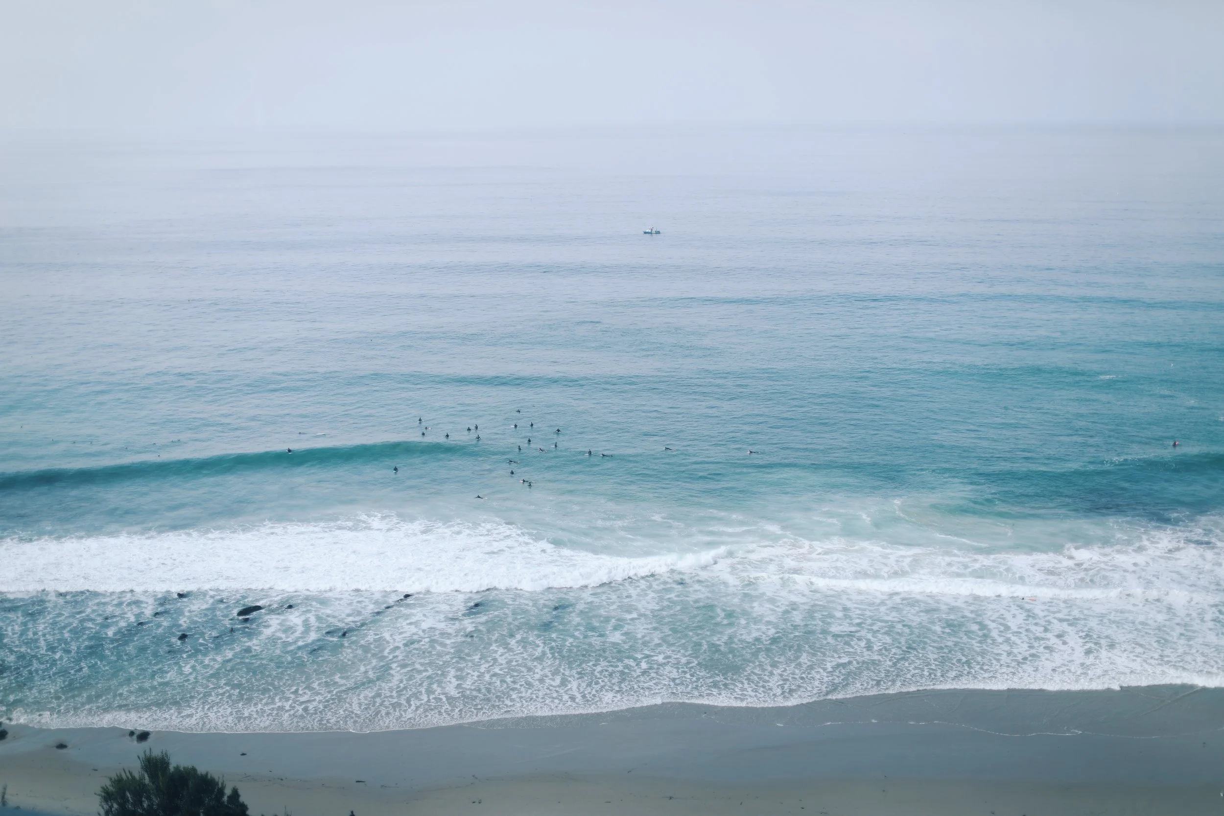 77703BE2-9C83-4C08-A7C3-006BA6A61CF8.jpg