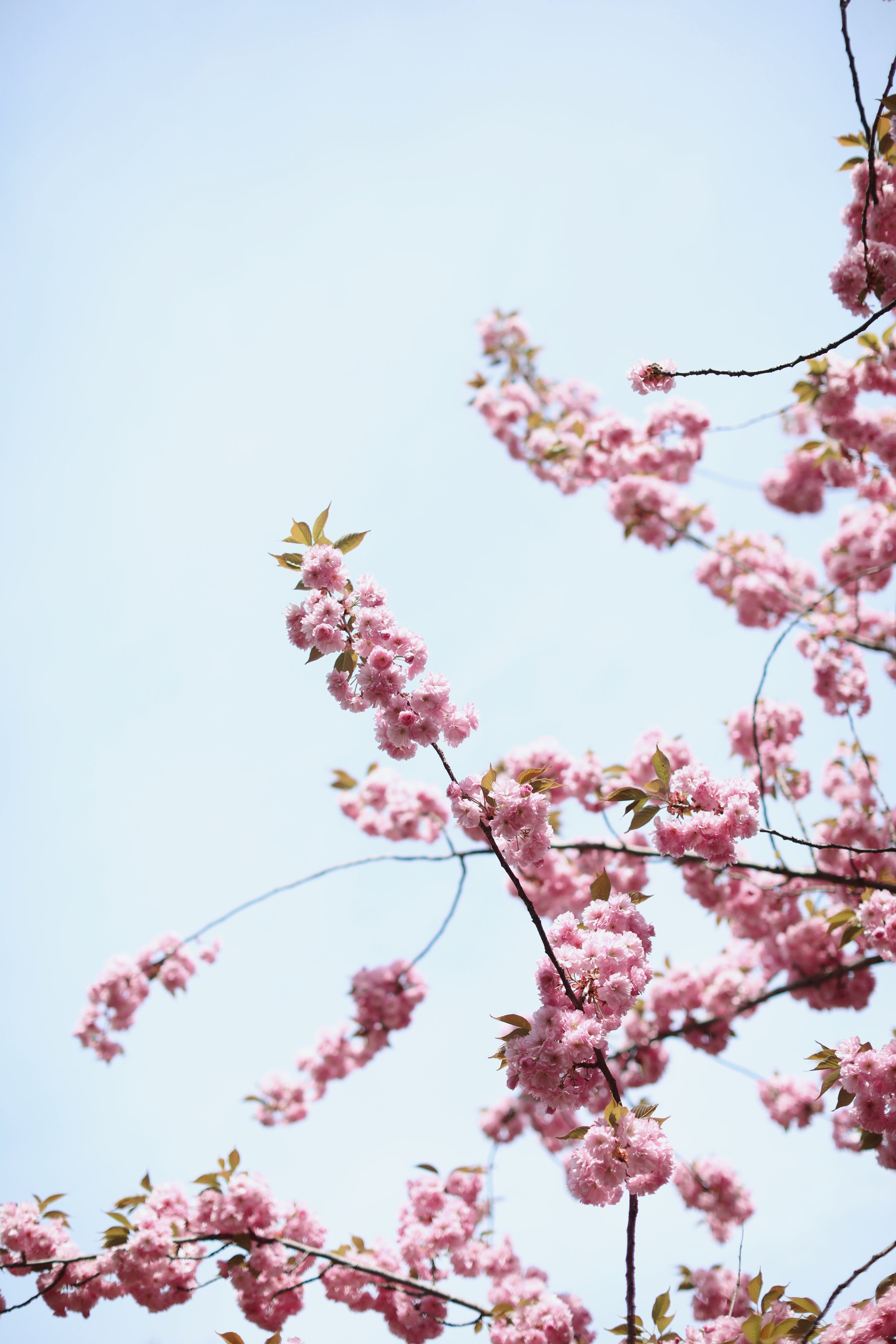 D28D8777-84AC-4172-A494-129CCA810541.JPEG