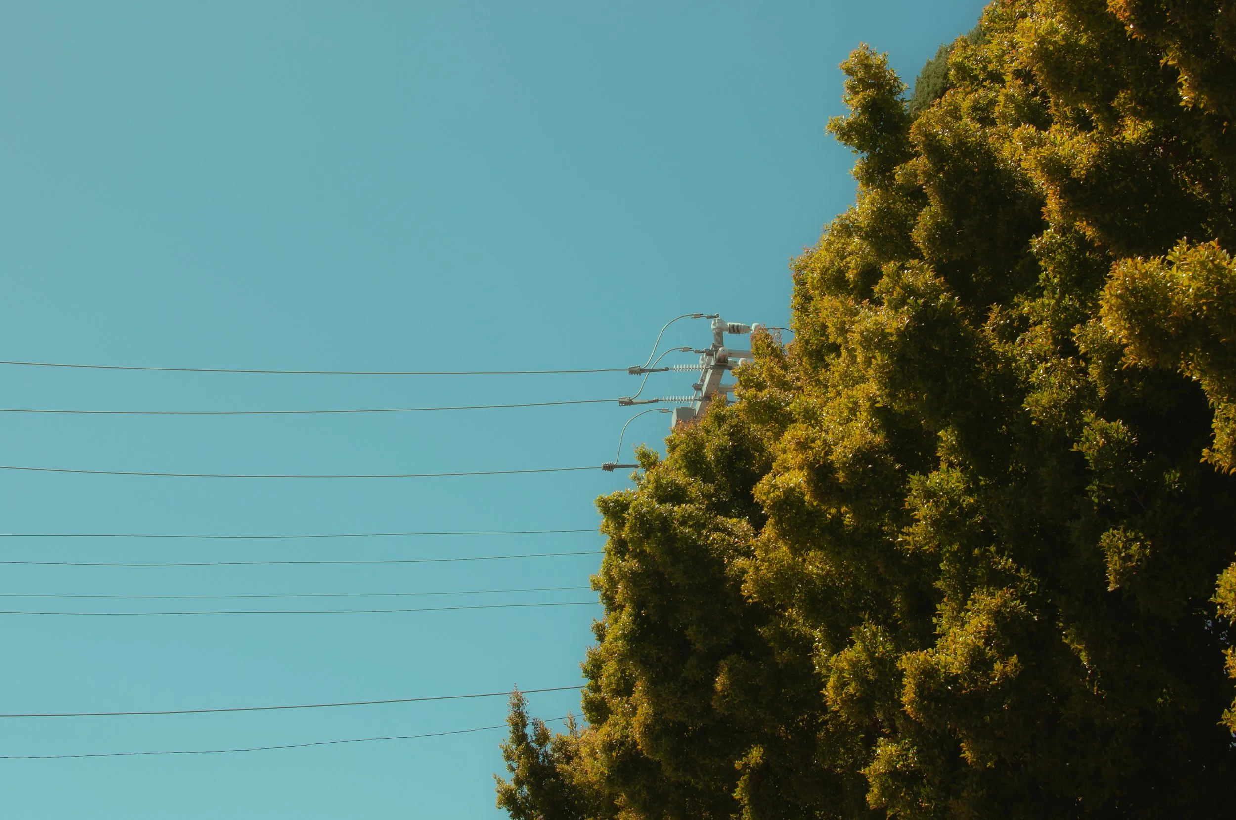 Santa Cruz, CA, “Electric”