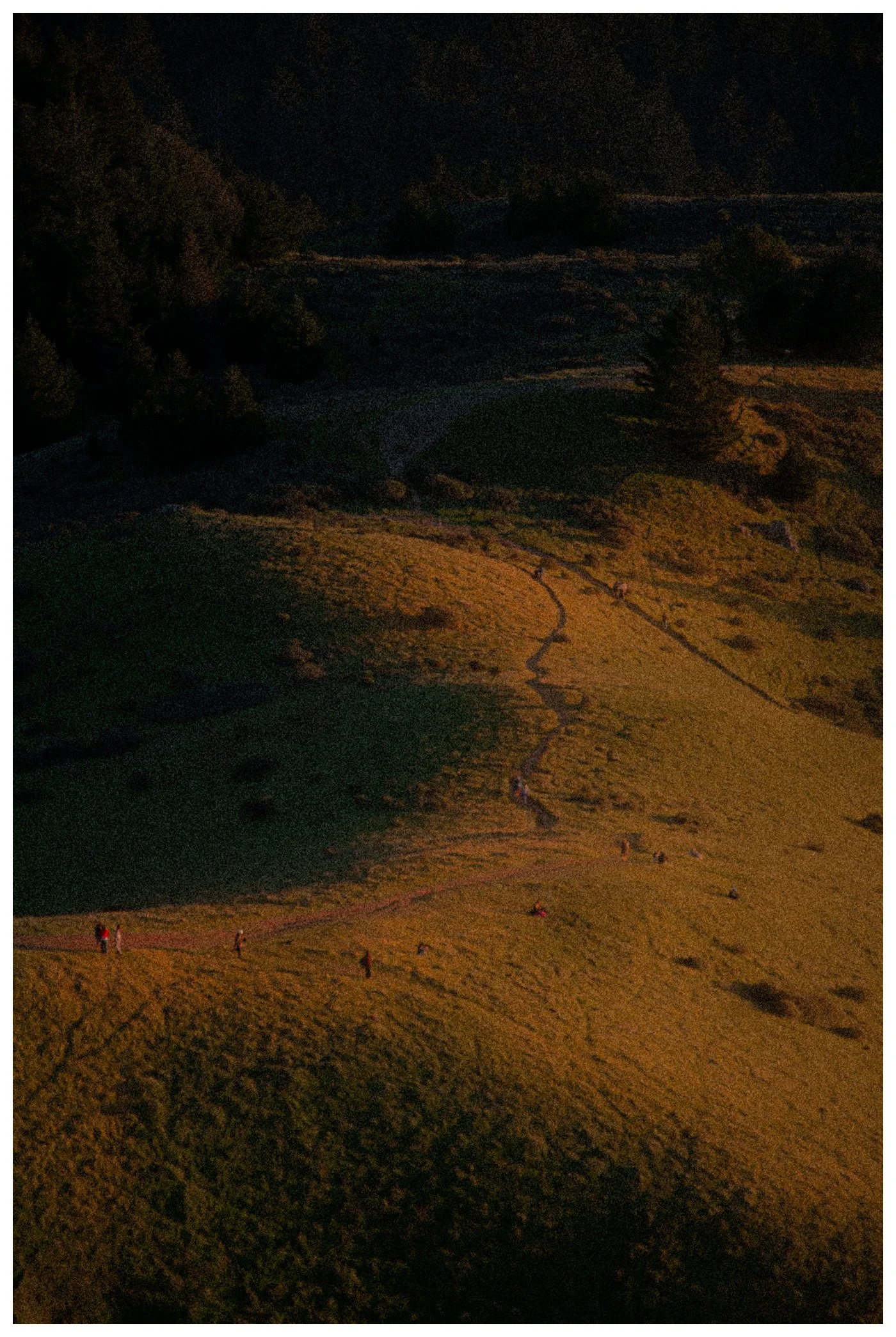Mt Tam, CA, "Rolling Hills"