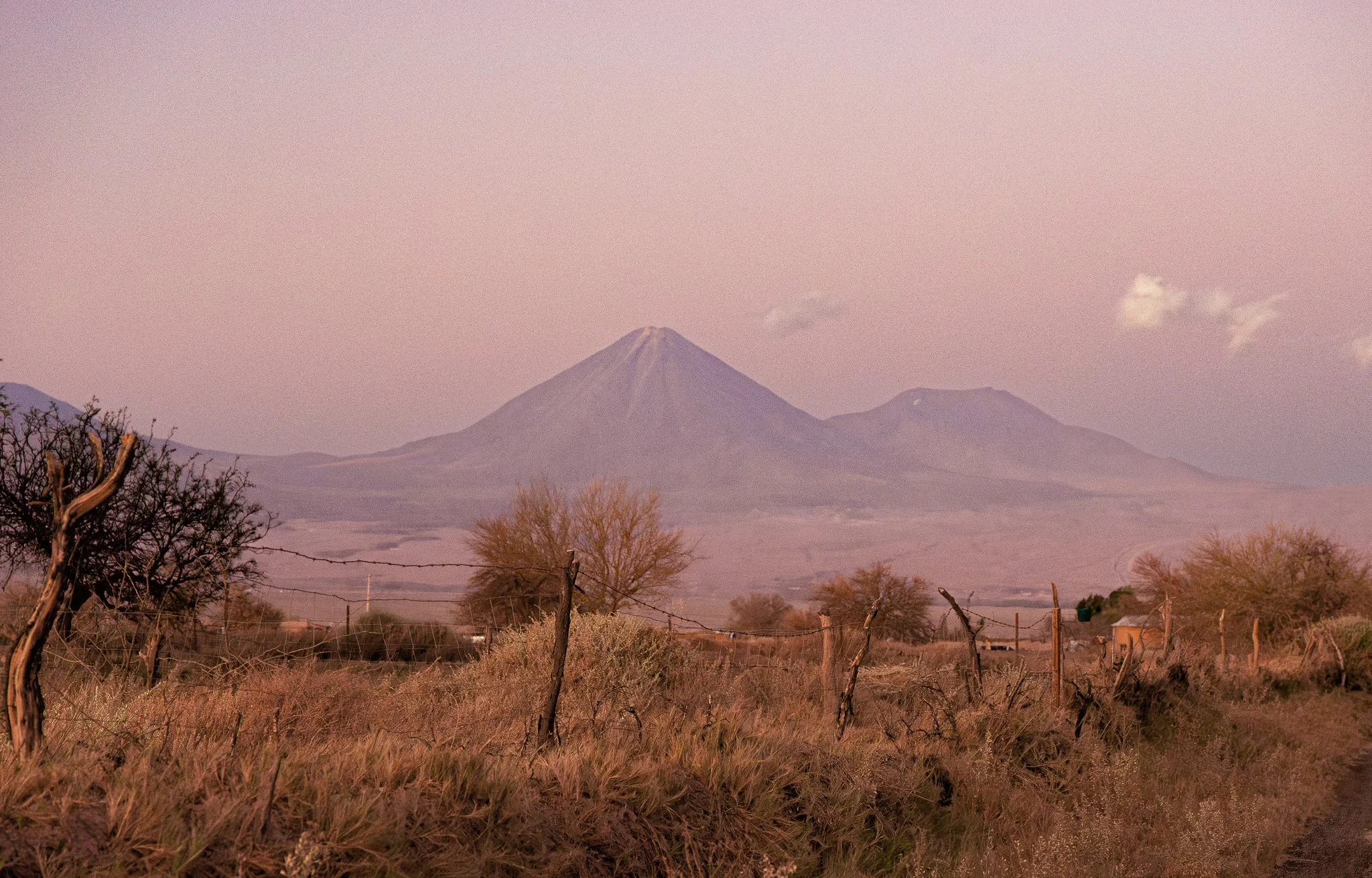 A mountain with a conical shape and a plume of smoke or steam coming from its peak, set against a pinkish sky, with dry trees and shrubs in the foreground.