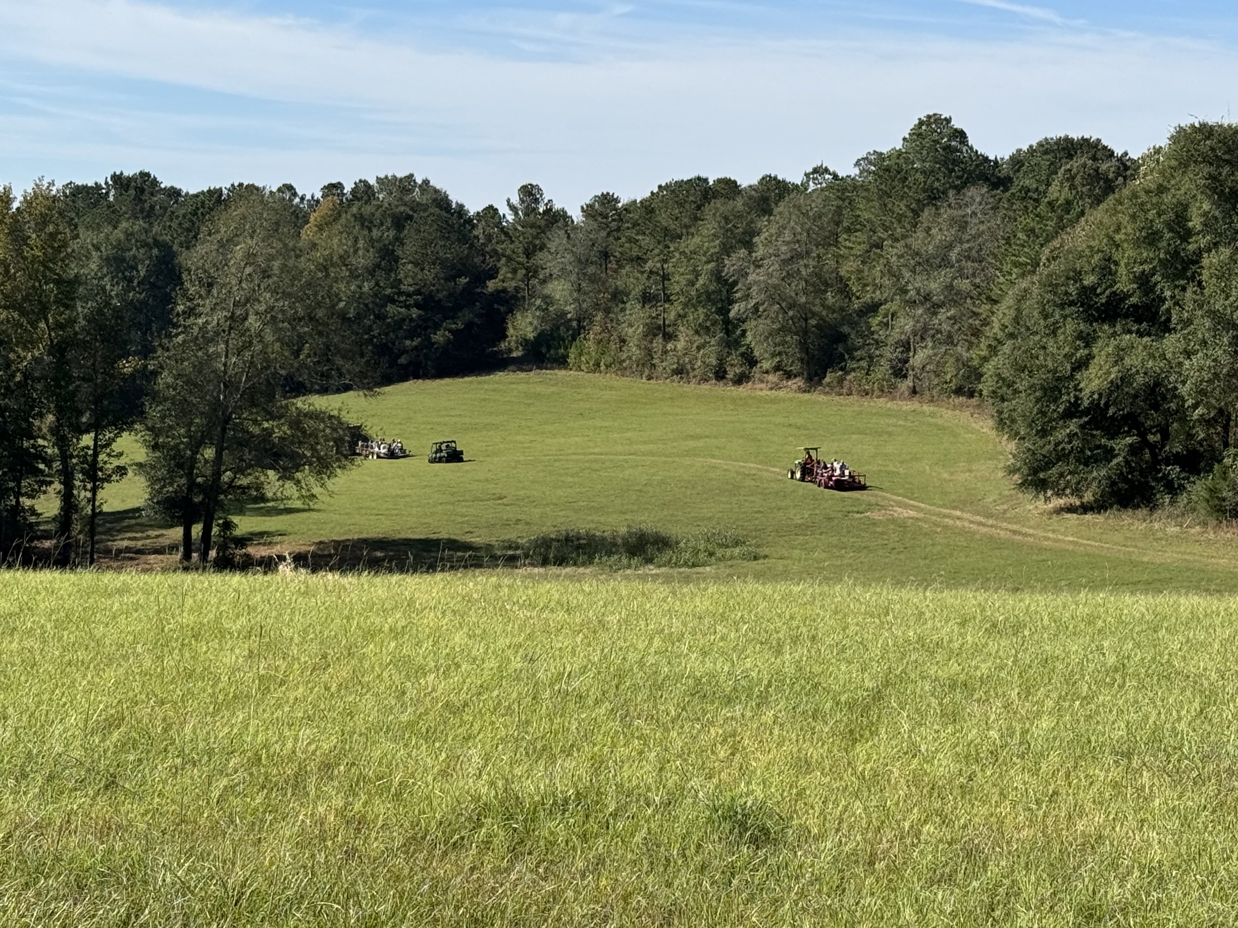 Landscape view of a green pasture with tall green trees in the background with a tractor pulling a hay wagon in the distance.
