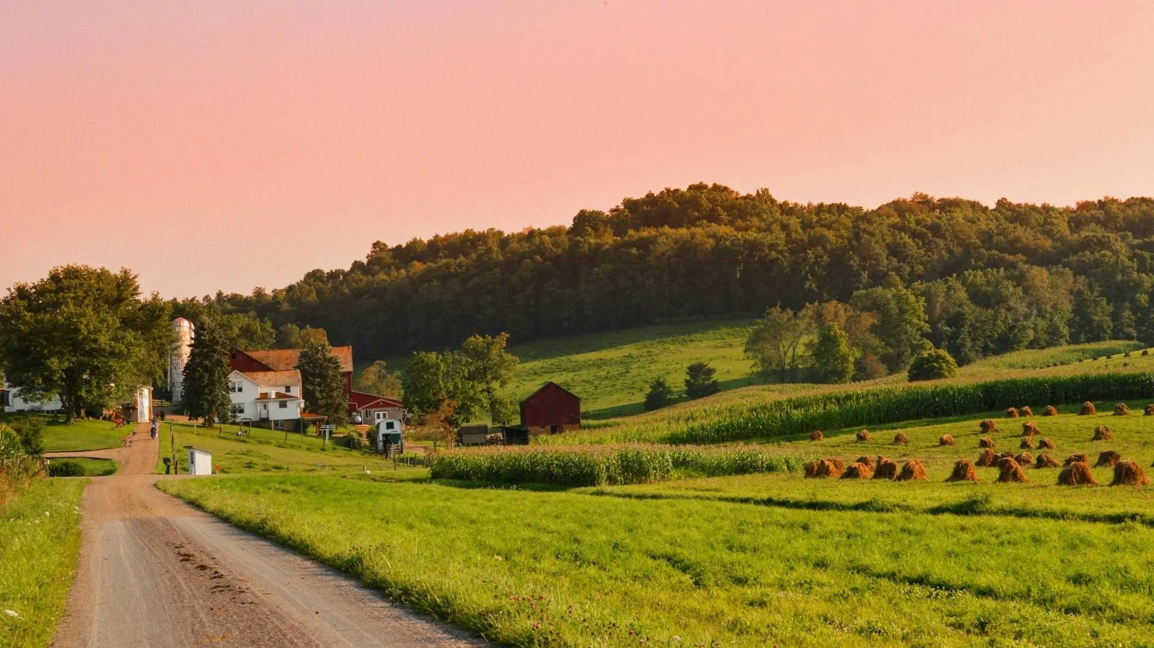 A peaceful rural landscape featuring a dirt road leading to a farm with white and red buildings, surrounded by green fields and trees, with a hill covered in dense forest in the background, under a pinkish sky.