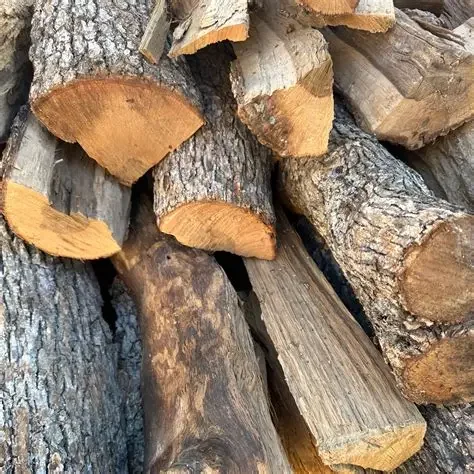 Freshly cut oak firewood.