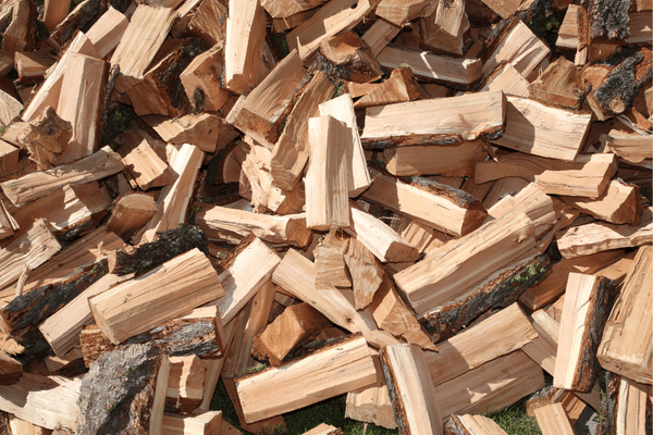 Freshly cut Douglas fir firewood.