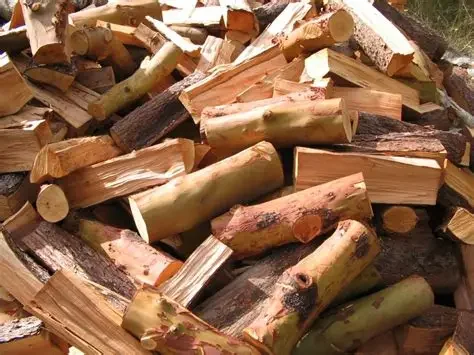 Freshly cut Madrone firewood.