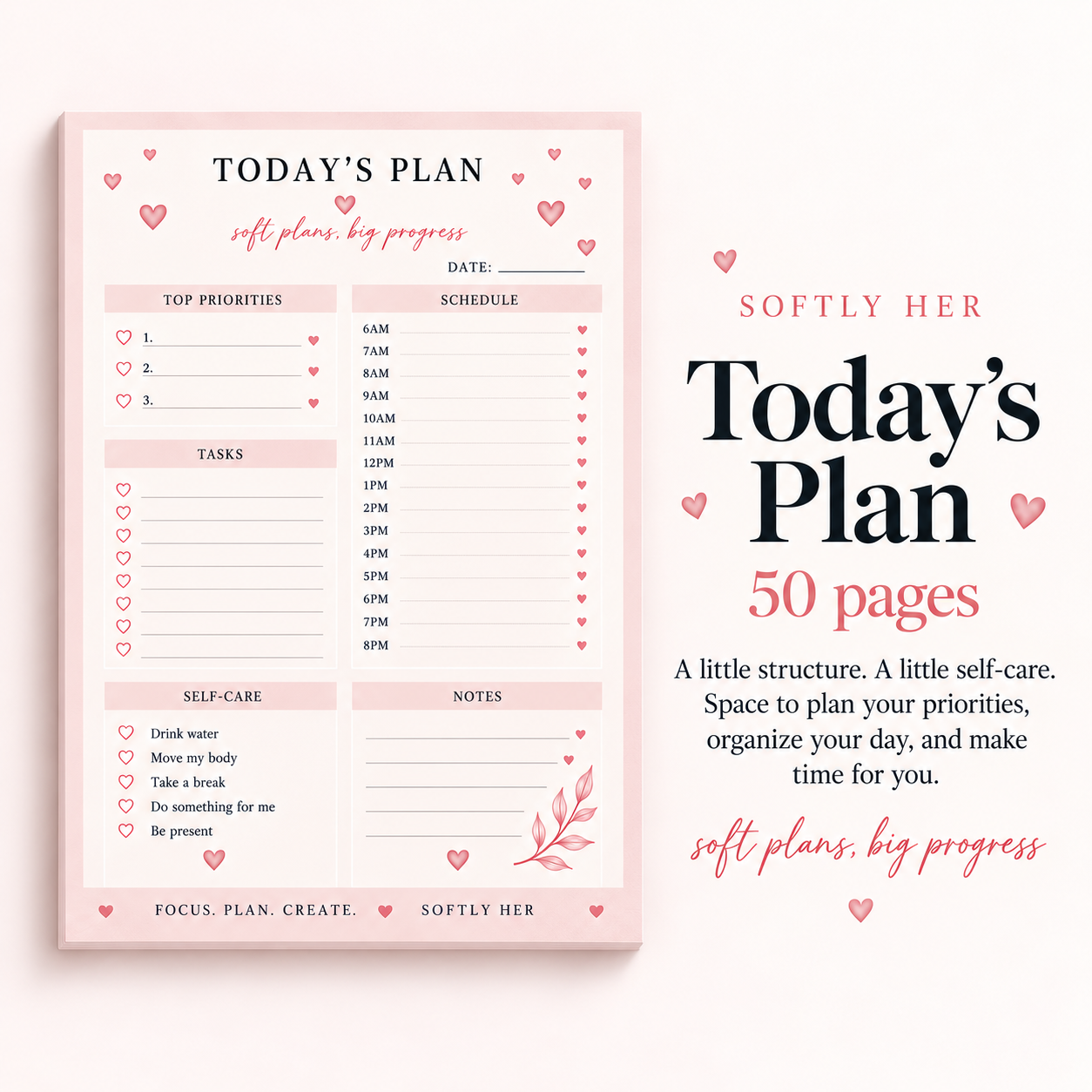 Today's Plan