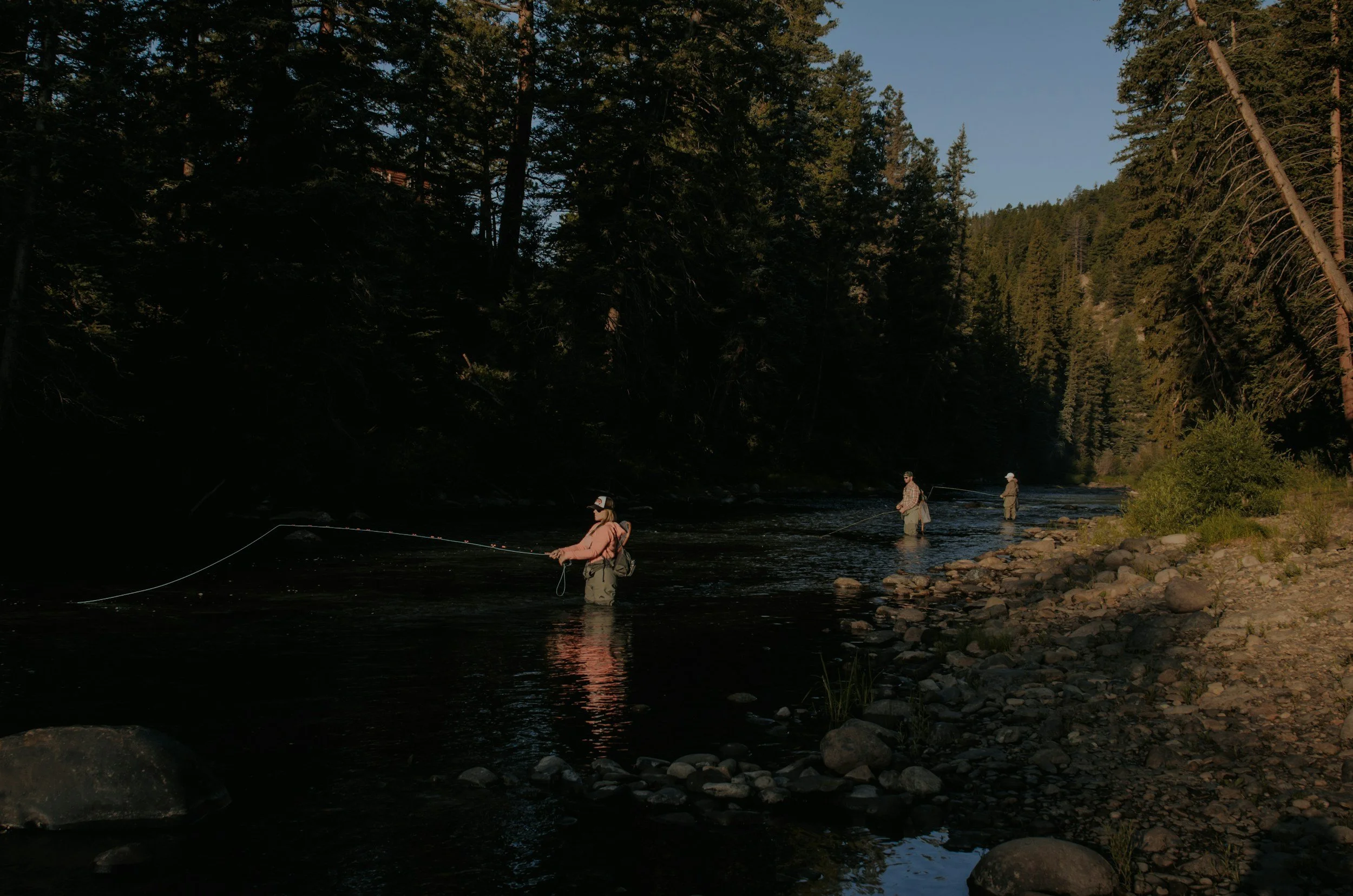 Fly fishing in a river