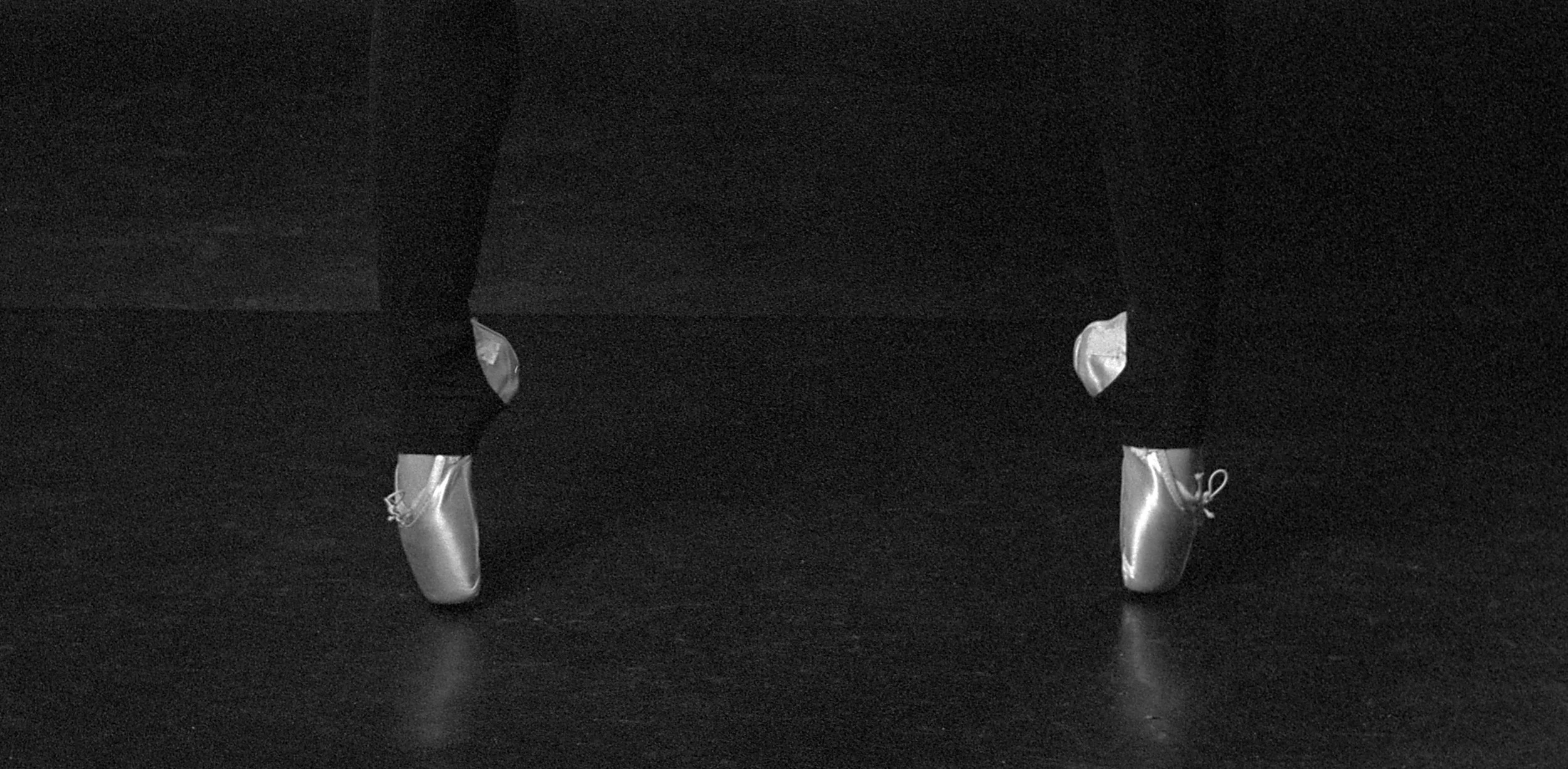 pointe_mar24_3419.jpg