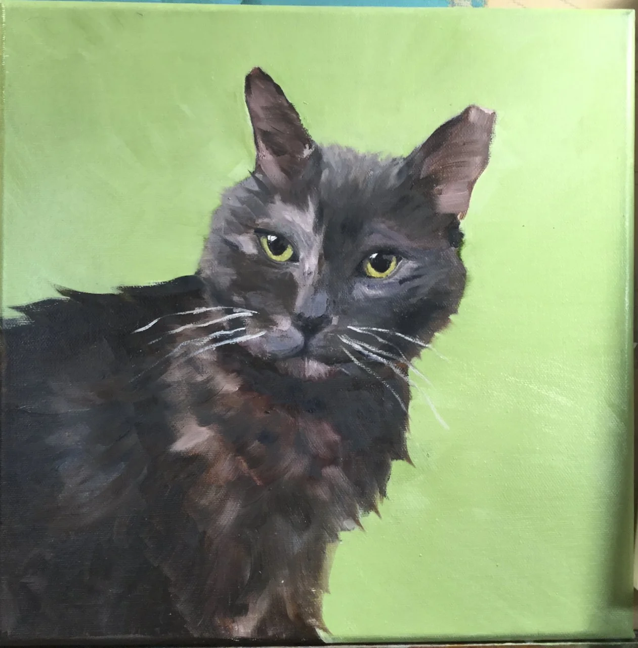 Pet Portrait 
