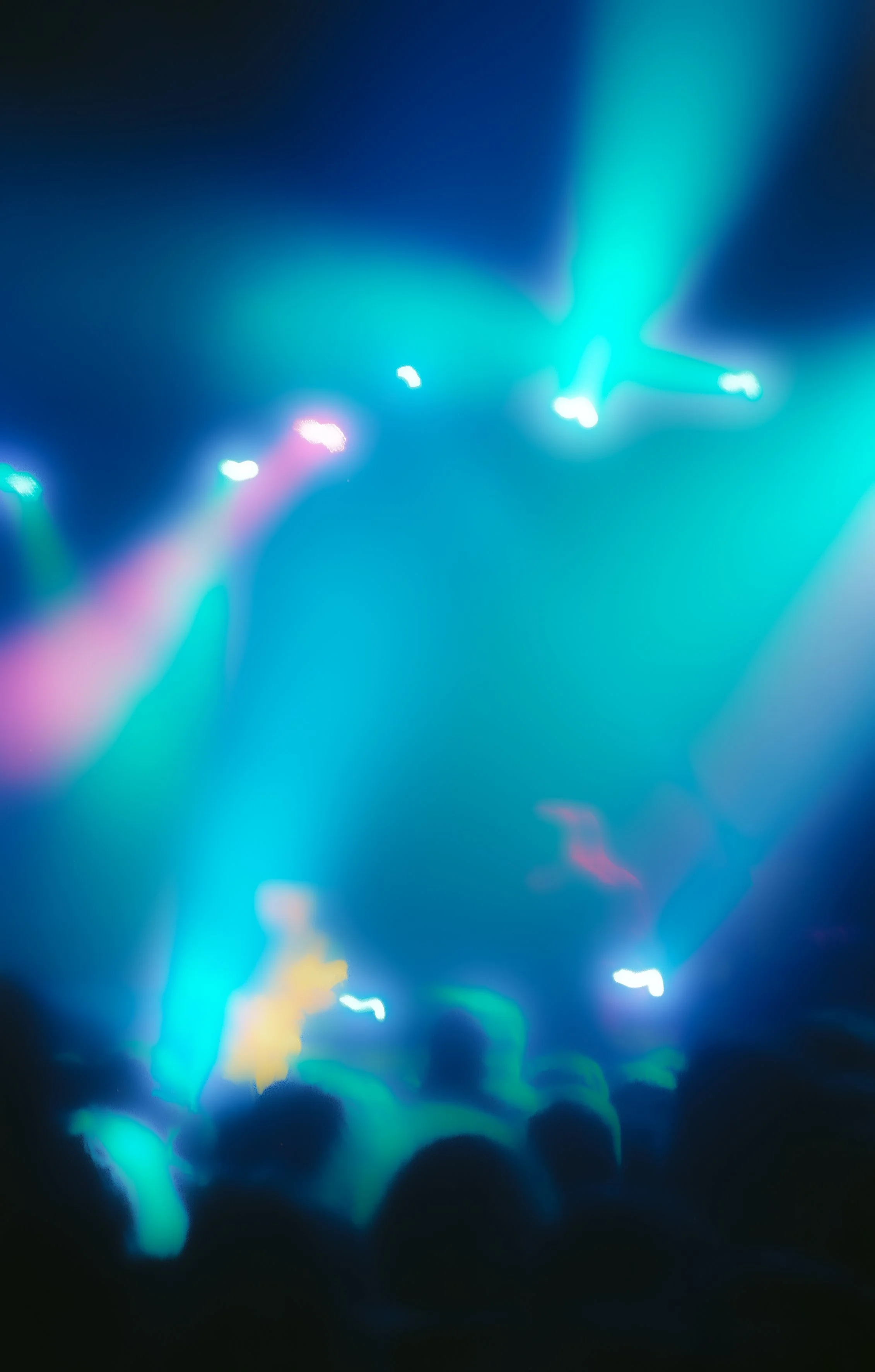 img209-2.jpg